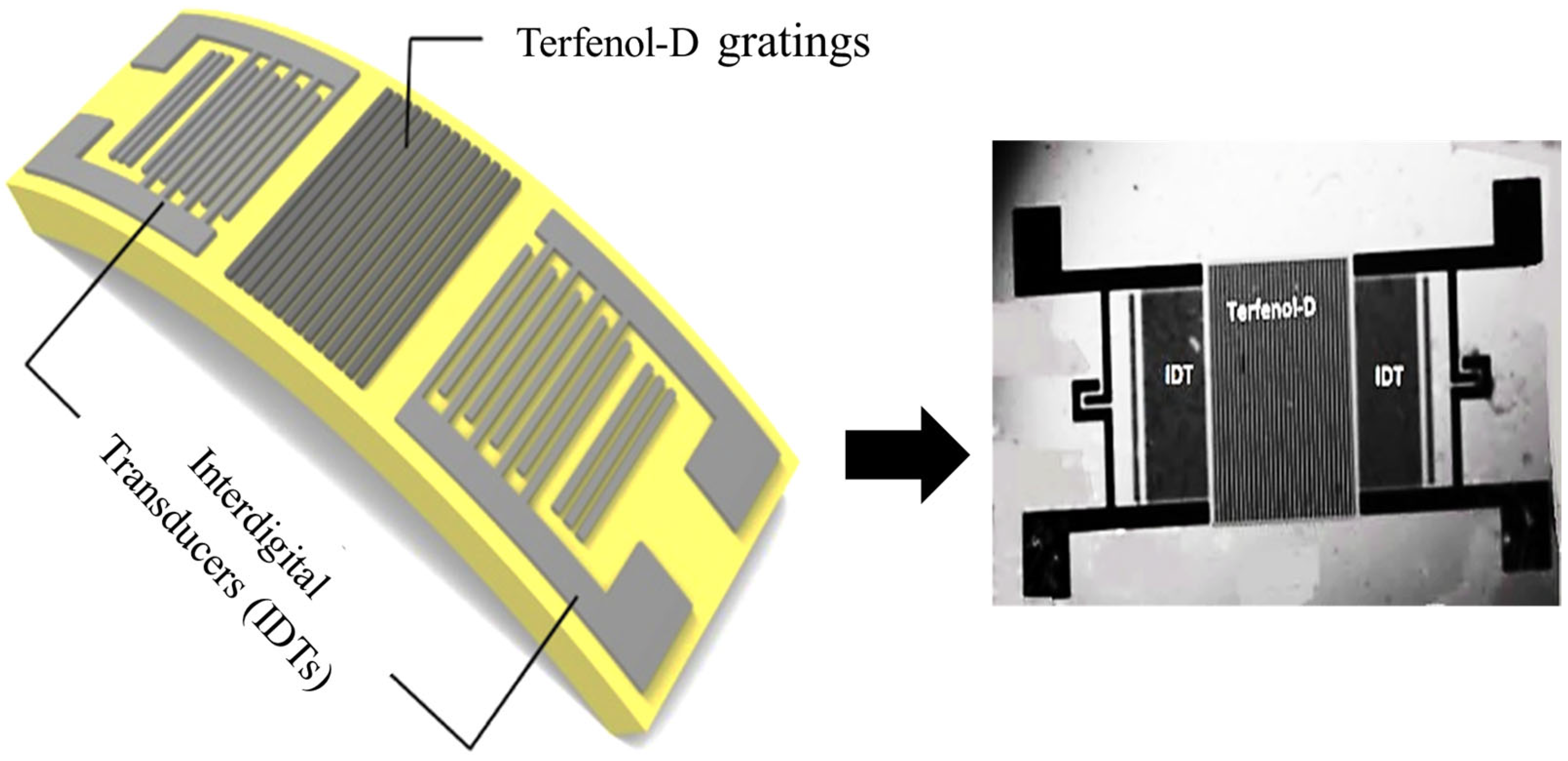 Flexible Surface Acoustic Wave (SAW) Magnetic Sensor Based on Terfenol ...