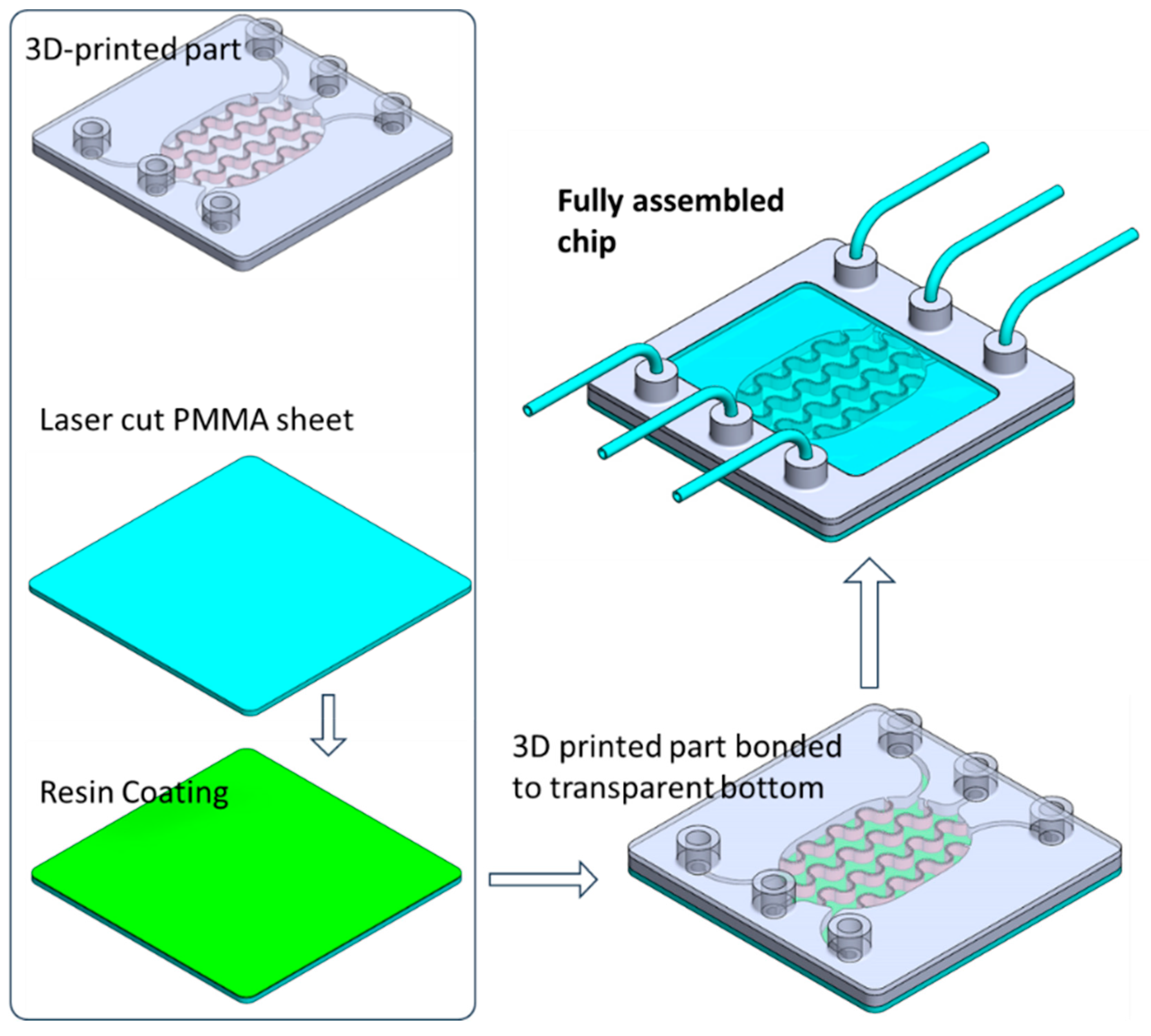 Rapid Prototyping of Compartmentalized 3D Microfluidic Devices for ...