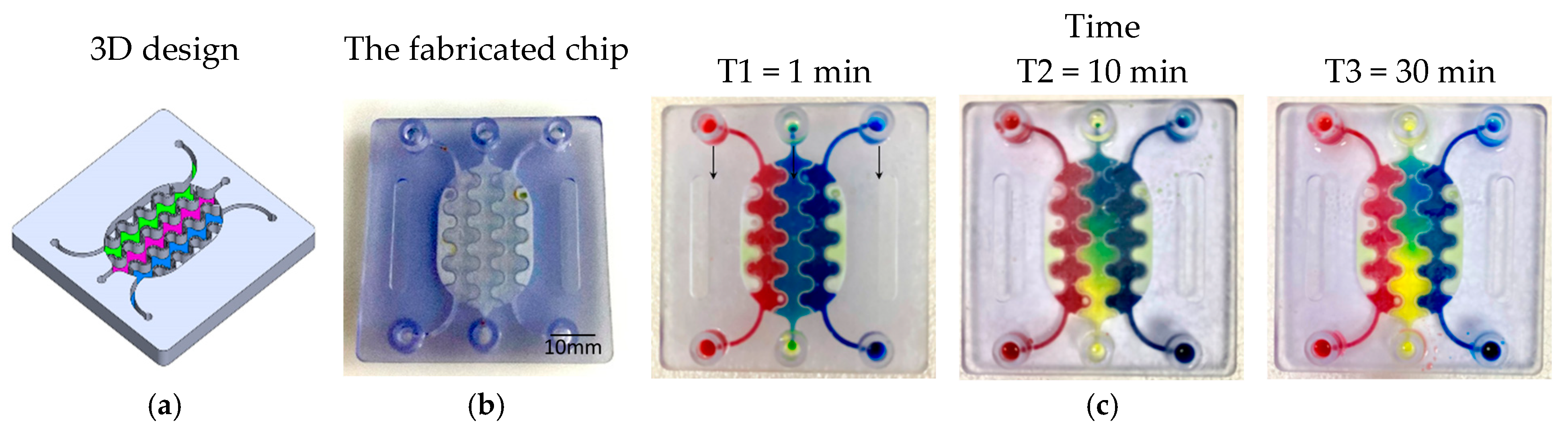 Rapid Prototyping of Compartmentalized 3D Microfluidic Devices for ...