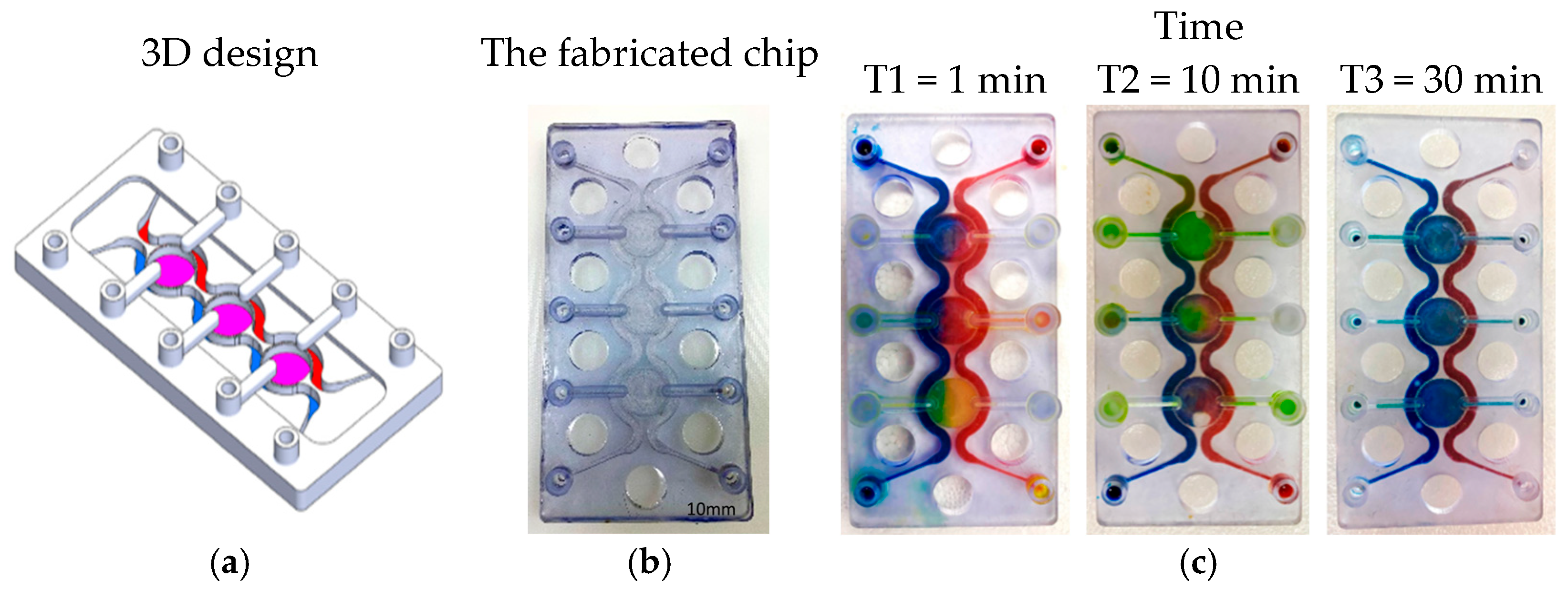Rapid Prototyping of Compartmentalized 3D Microfluidic Devices for ...