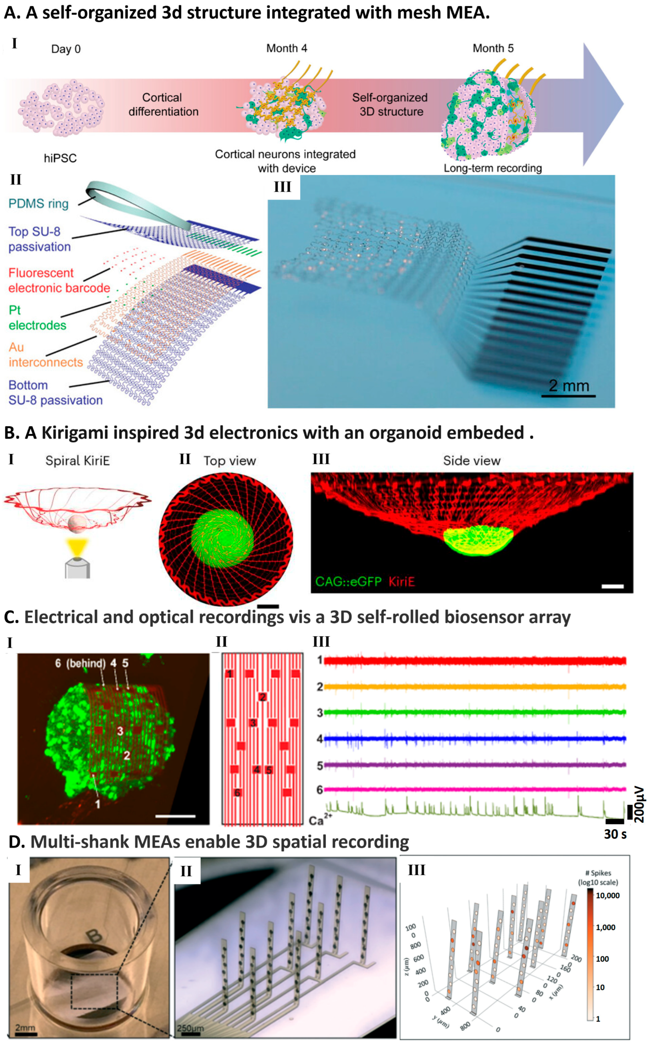 Bridging the Gap: Integrated High-Density Microelectrode Arrays for ...