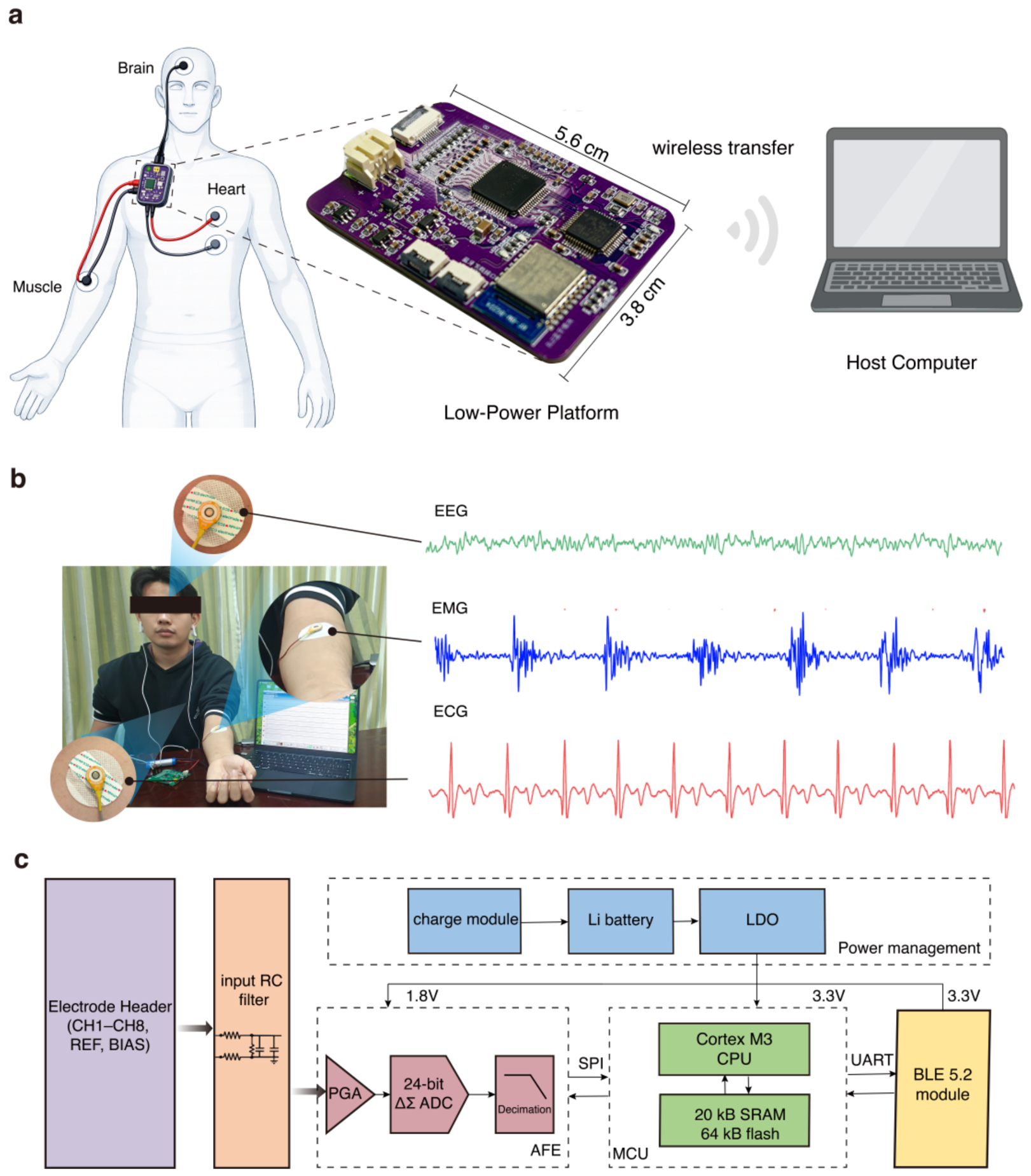 Miniaturized Wearable System for Multimodal EEG/ECG/EMG Sensing and ...