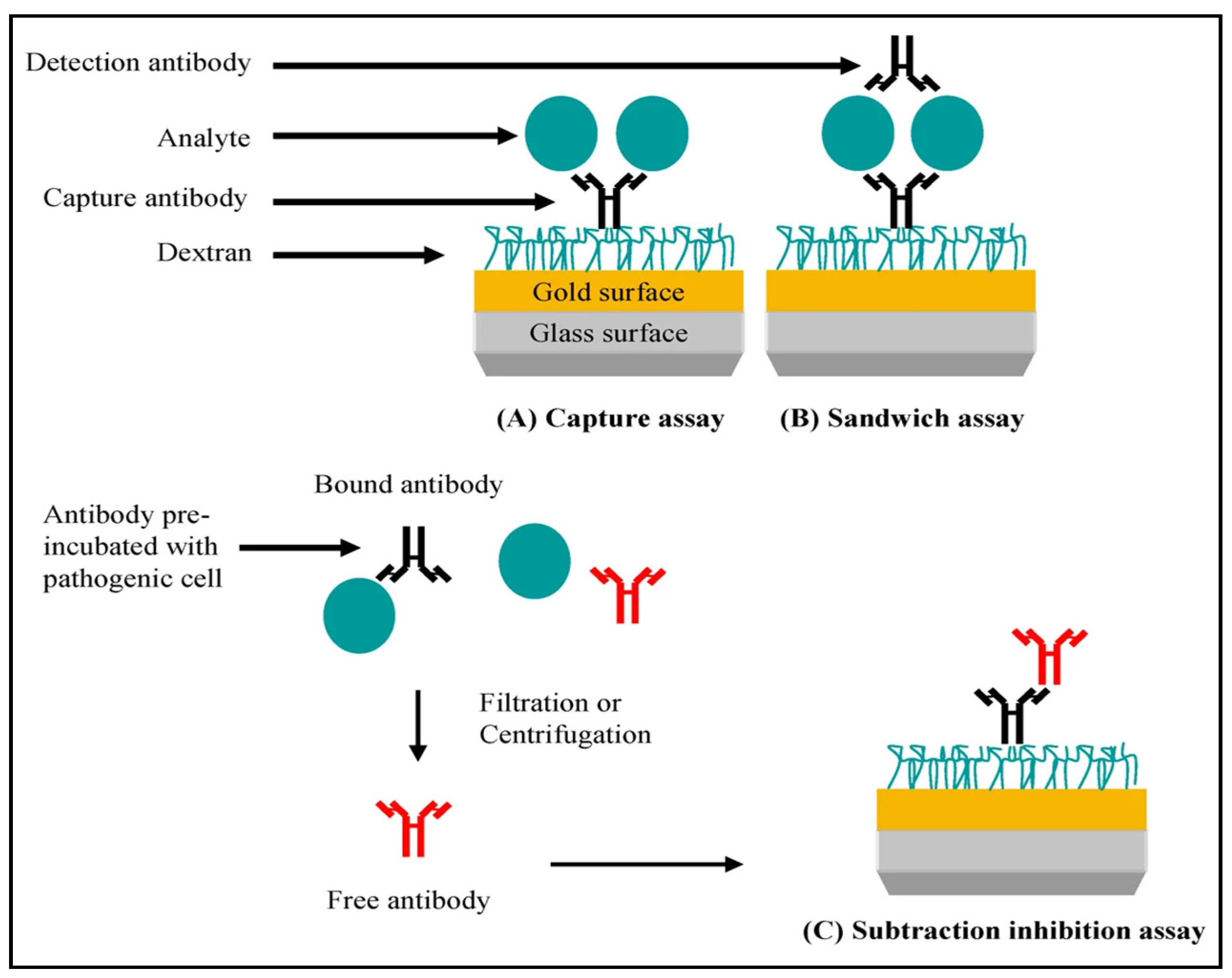 Nanobionic Sensor Next-Generation Bionic Sensors for Small Molecule Detection ...