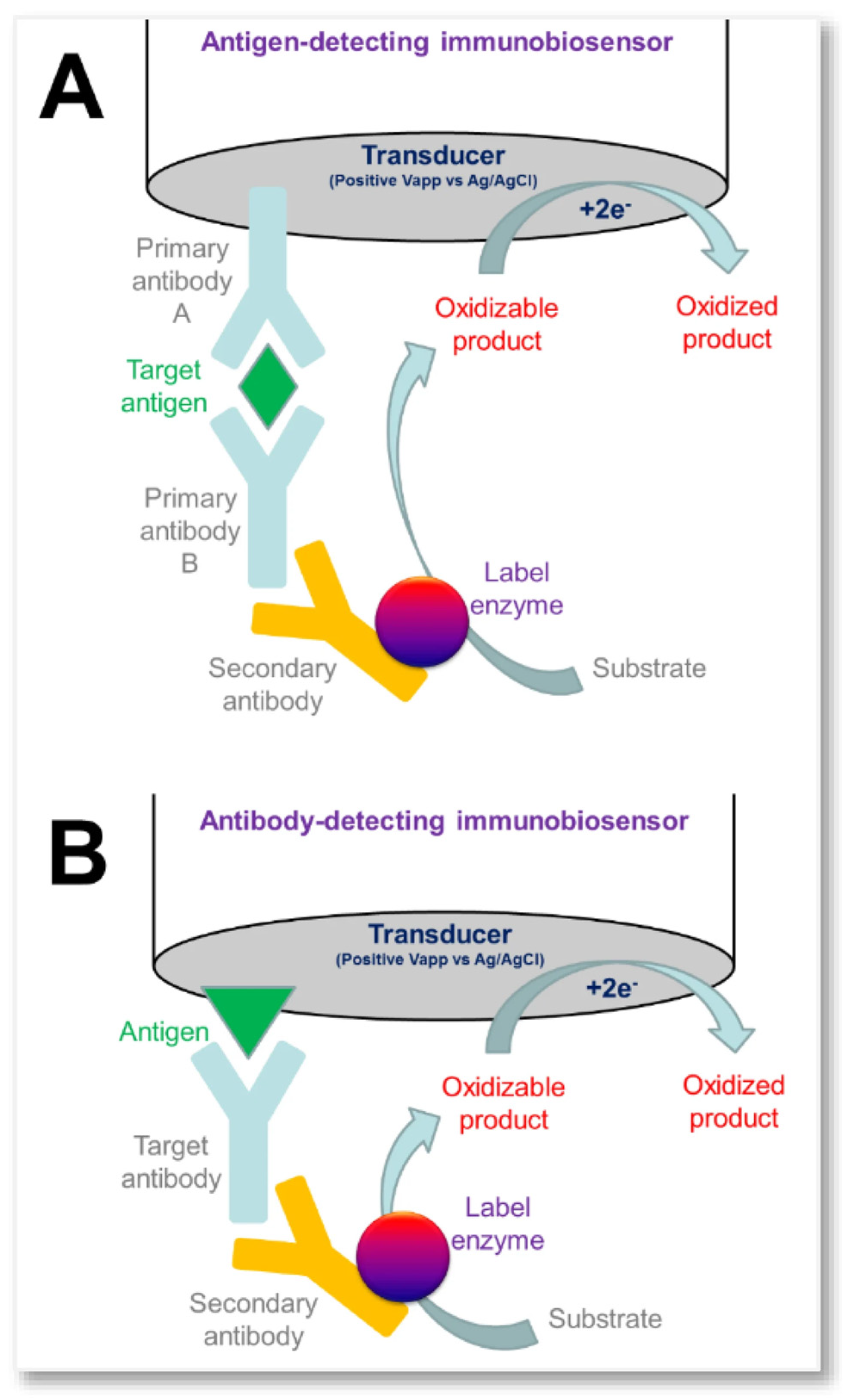 Nanobionic Sensor Next-Generation Bionic Sensors for Small Molecule Detection ...