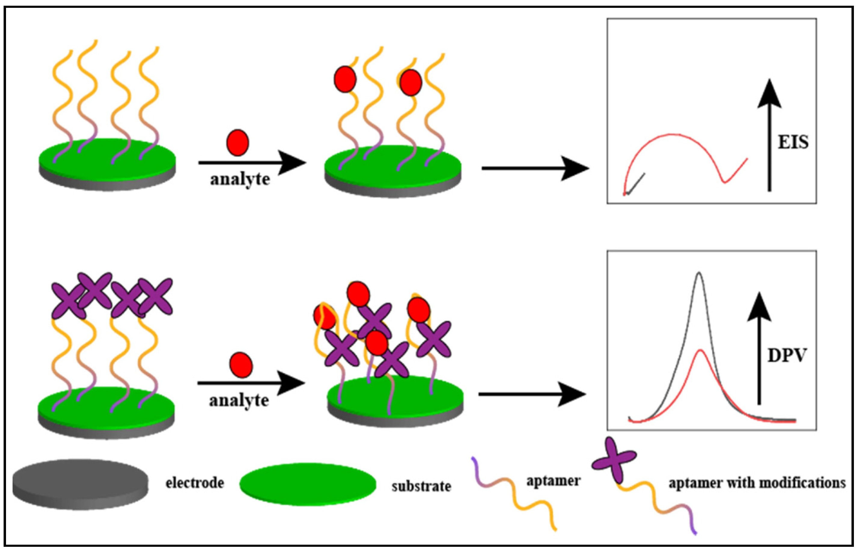 Nanobionic Sensor Next-Generation Bionic Sensors for Small Molecule Detection ...