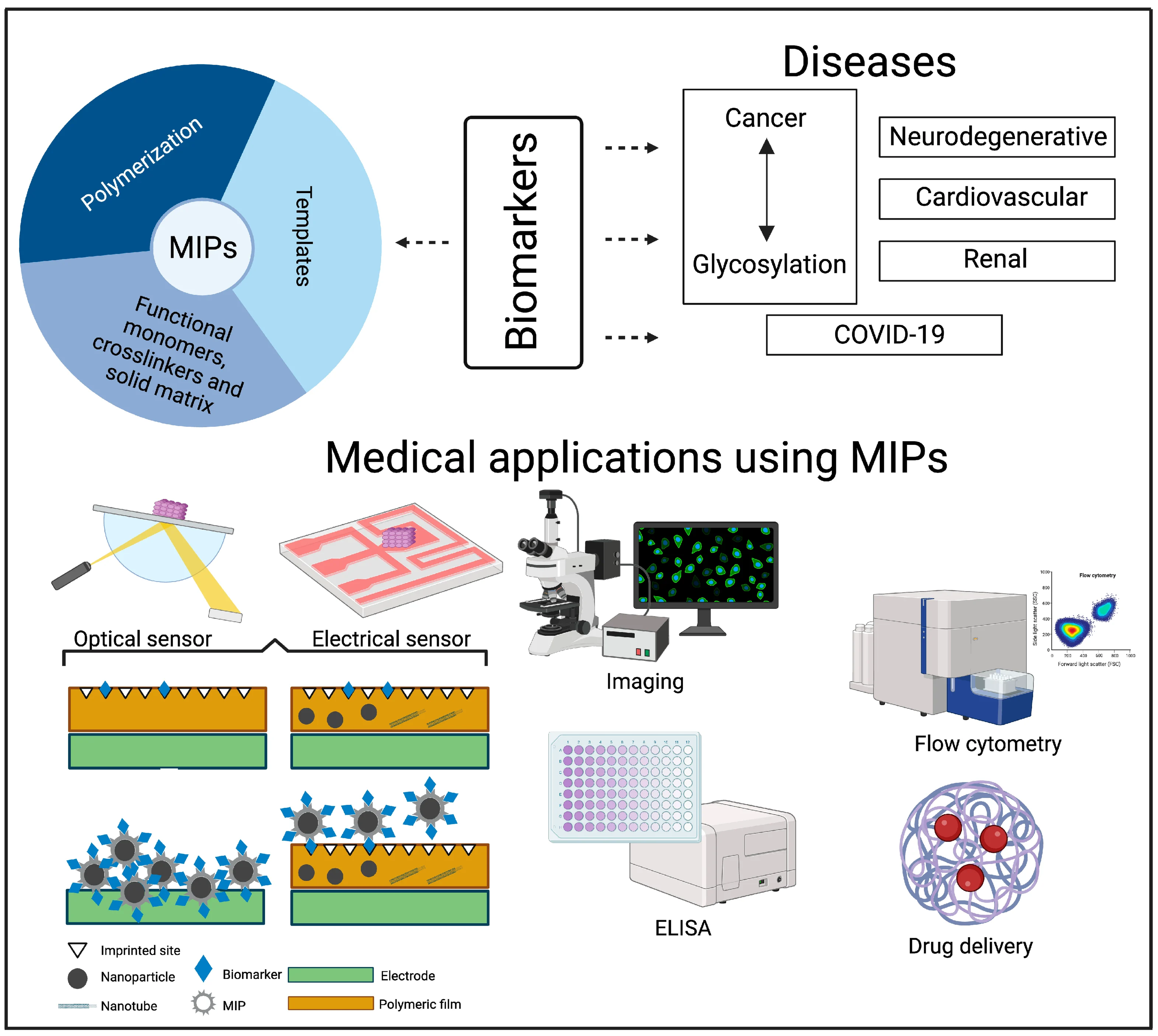 Next-Generation Bionic Sensors for Small Molecule Detection ...