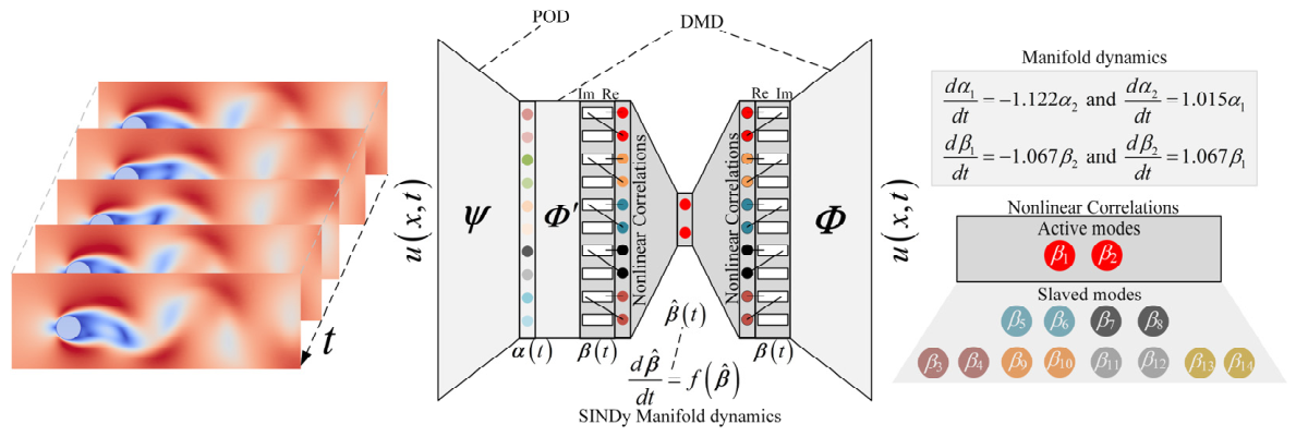 Nonlinear Correlation of POD and DMD Modal Coefficients in Reduced ...