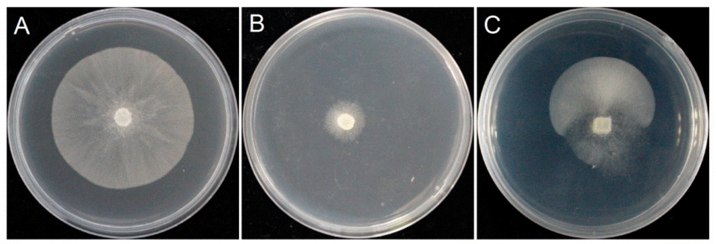 Microorganisms | Free Full-Text | Differential Potential of ...