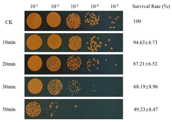 Microorganisms, Free Full-Text