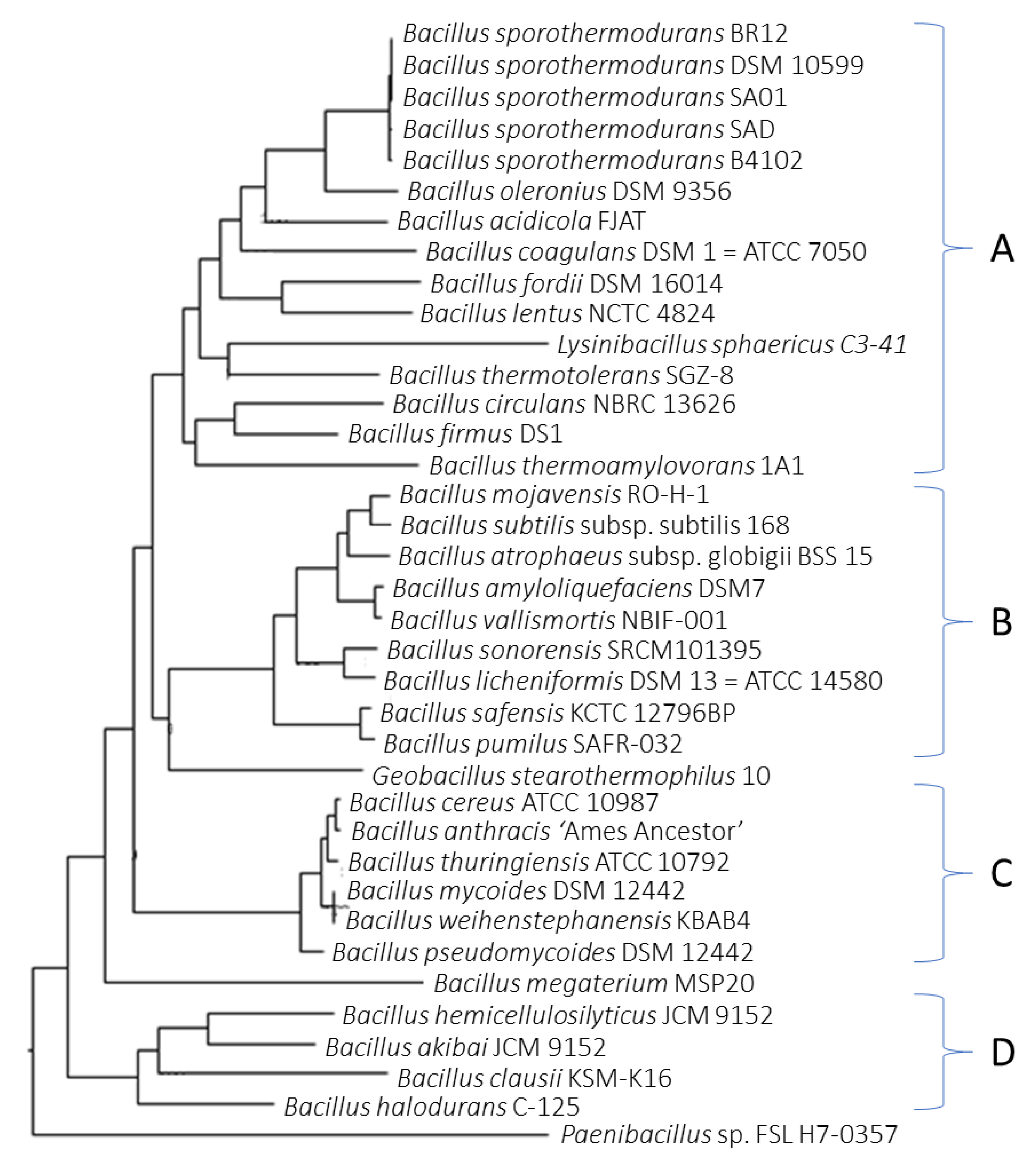 Microorganisms | Free Full-Text | Comparative Genome Analysis Of ...