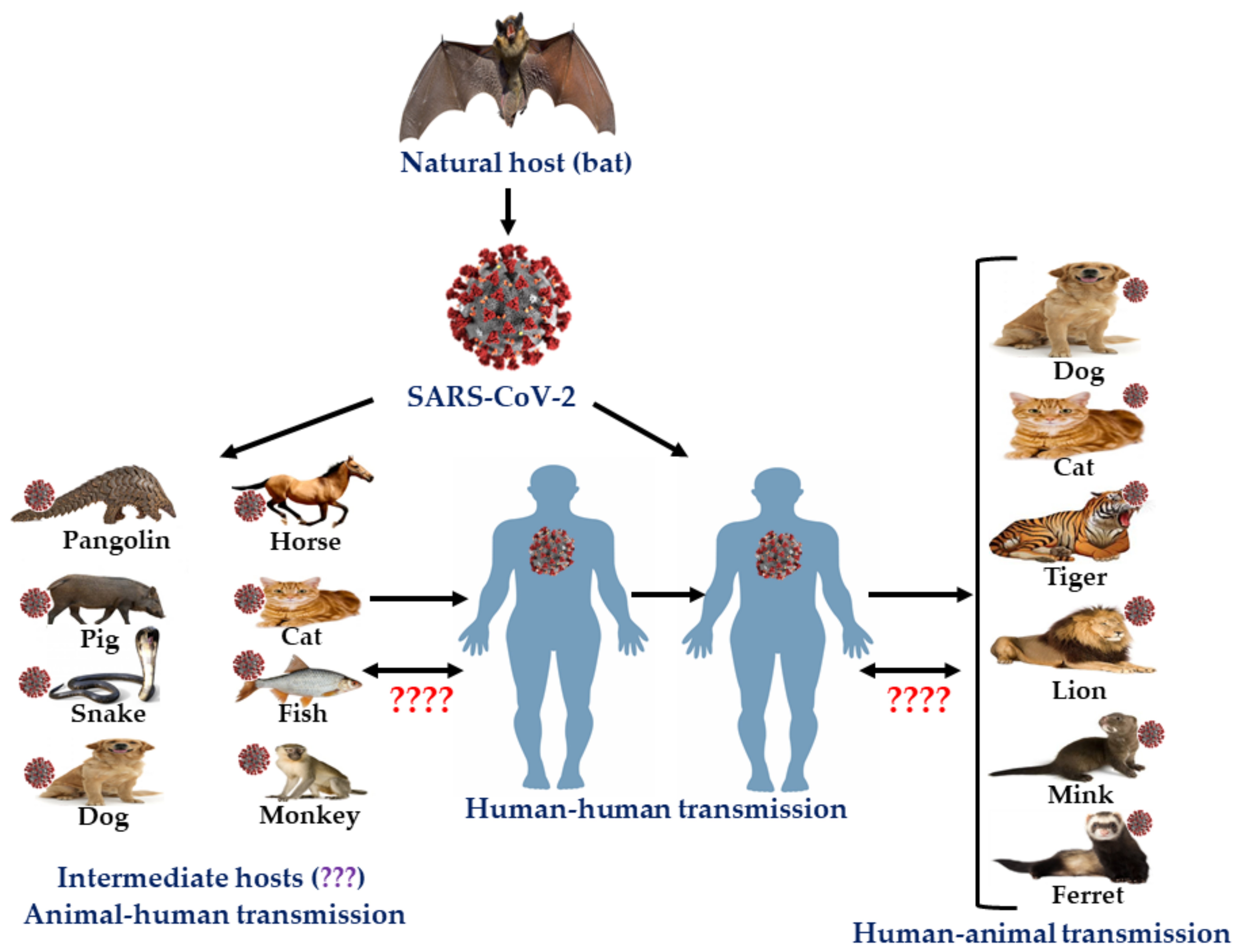 Microorganisms | Free Full-Text | Zoonotic Diseases: Etiology, Impact, and  Control