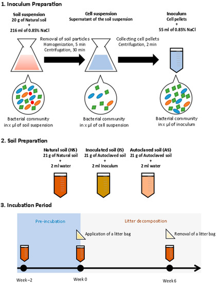 Microorganisms | Free Full-Text | Soil Bacterial Diversity Is ...