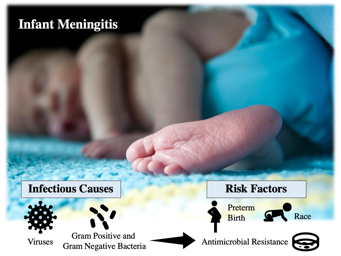 Microorganisms Free Full Text The Epidemiology Of Meningitis In