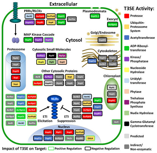 Microorganisms | Free Full-Text | What the Wild Things Do 