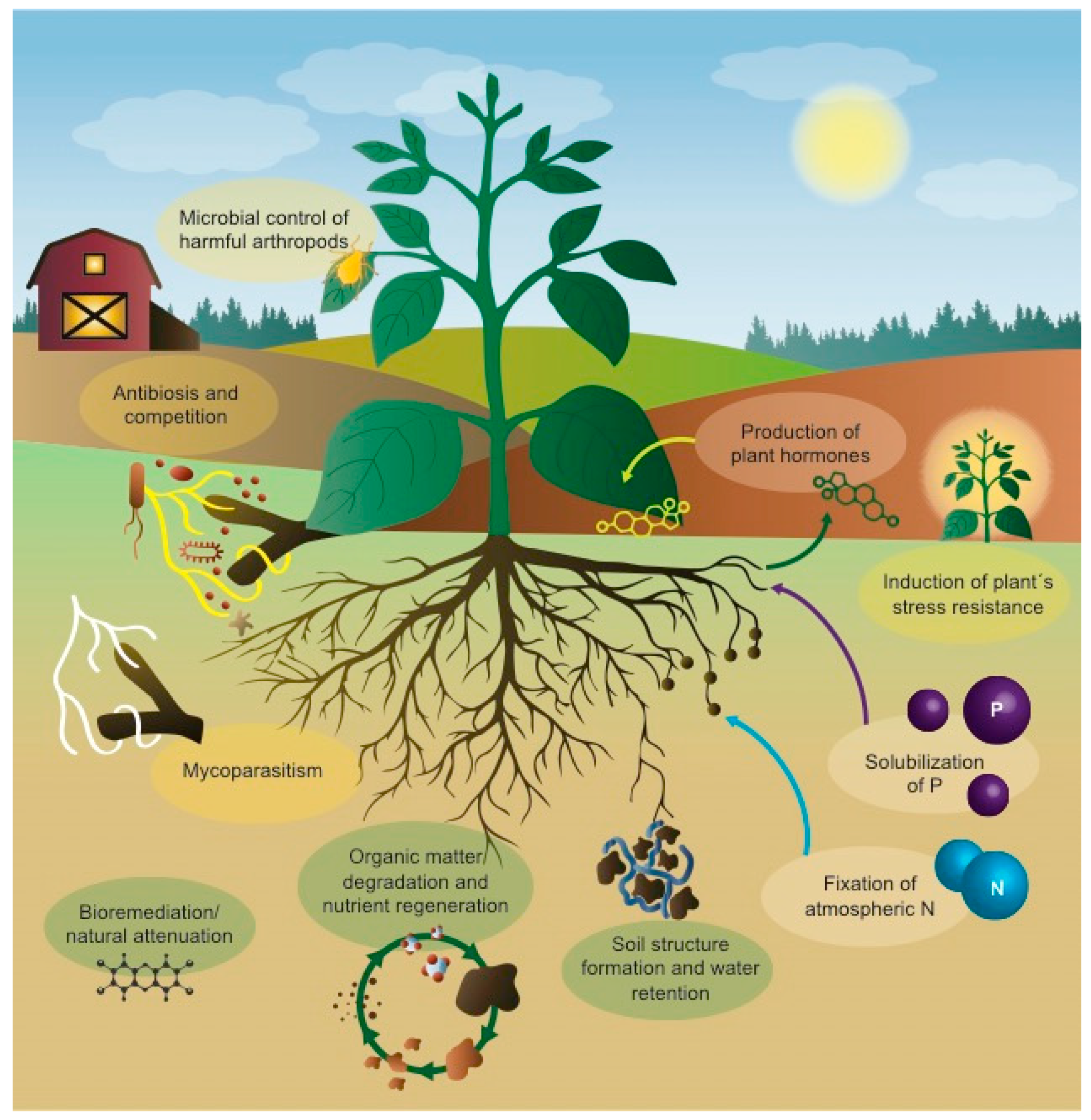 Microorganisms Free Full Text Reaping The Benefits Of 