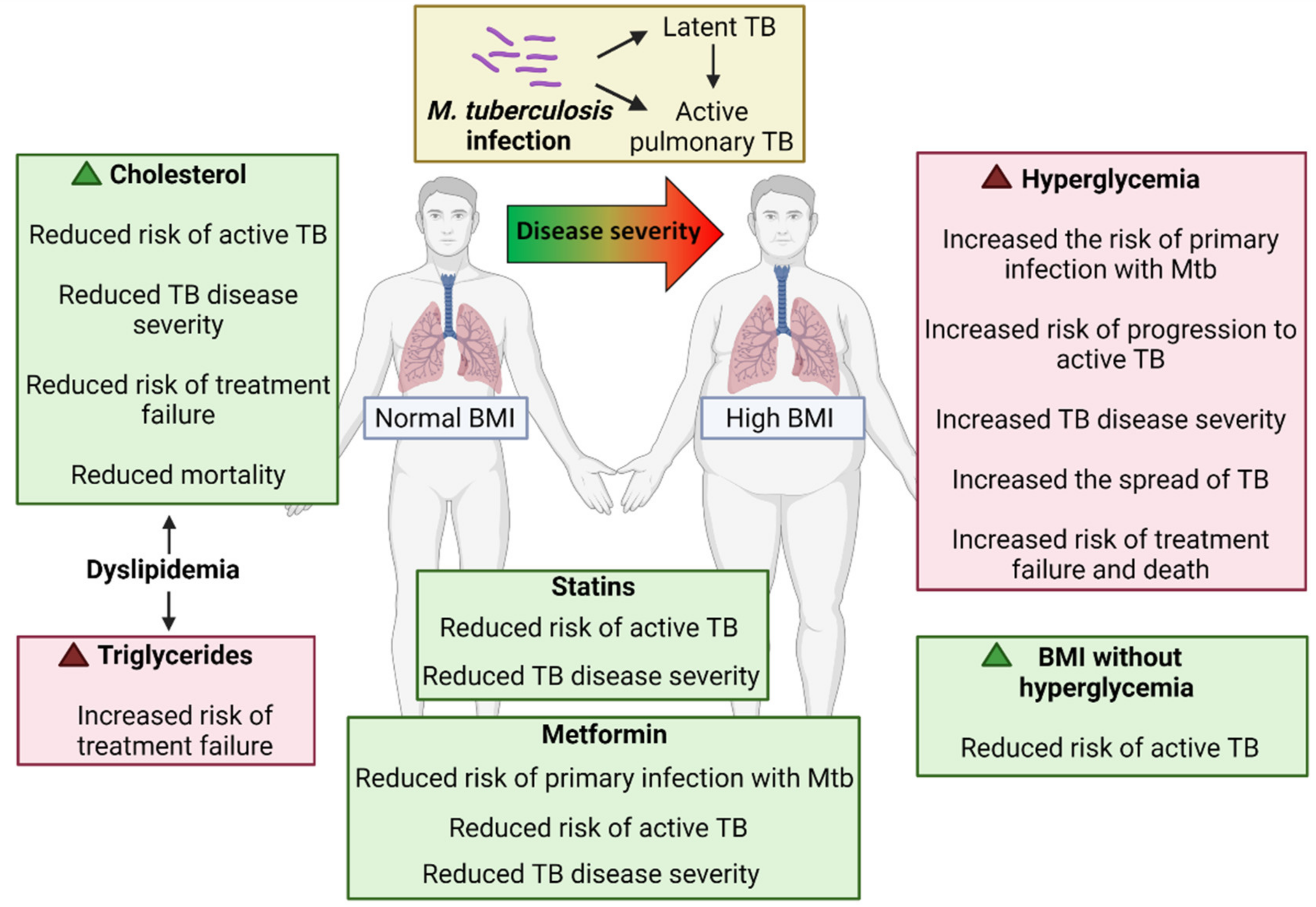 Microorganisms | Free Full-Text | Diabetes-Associated Susceptibility to  Tuberculosis: Contribution of Hyperglycemia vs. Dyslipidemia