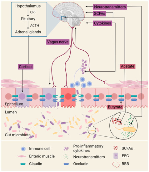 Sertraline Generische Bestellen