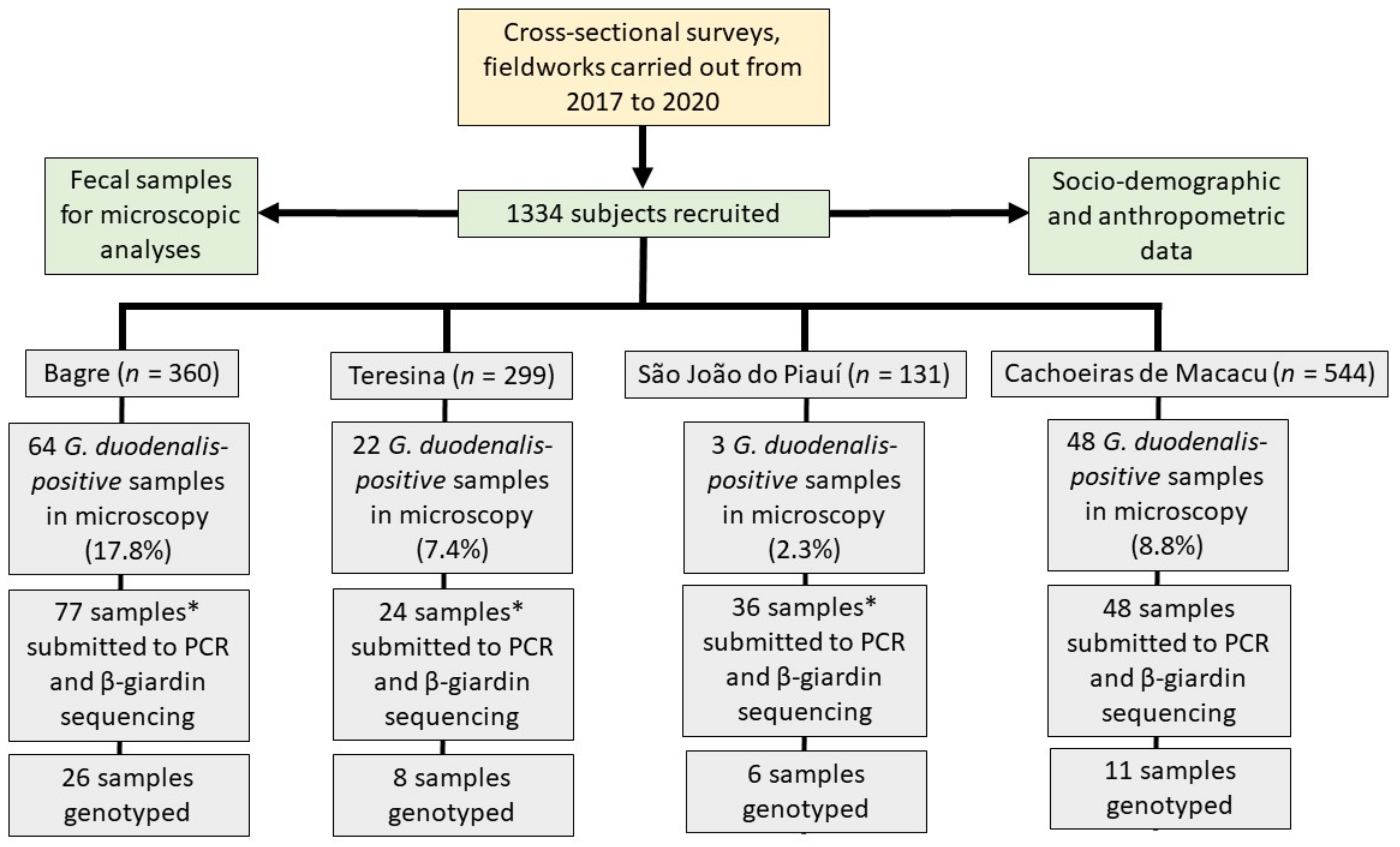 Microorganisms | Free Full-Text | Genotypic And Epidemiologic Profiles ...