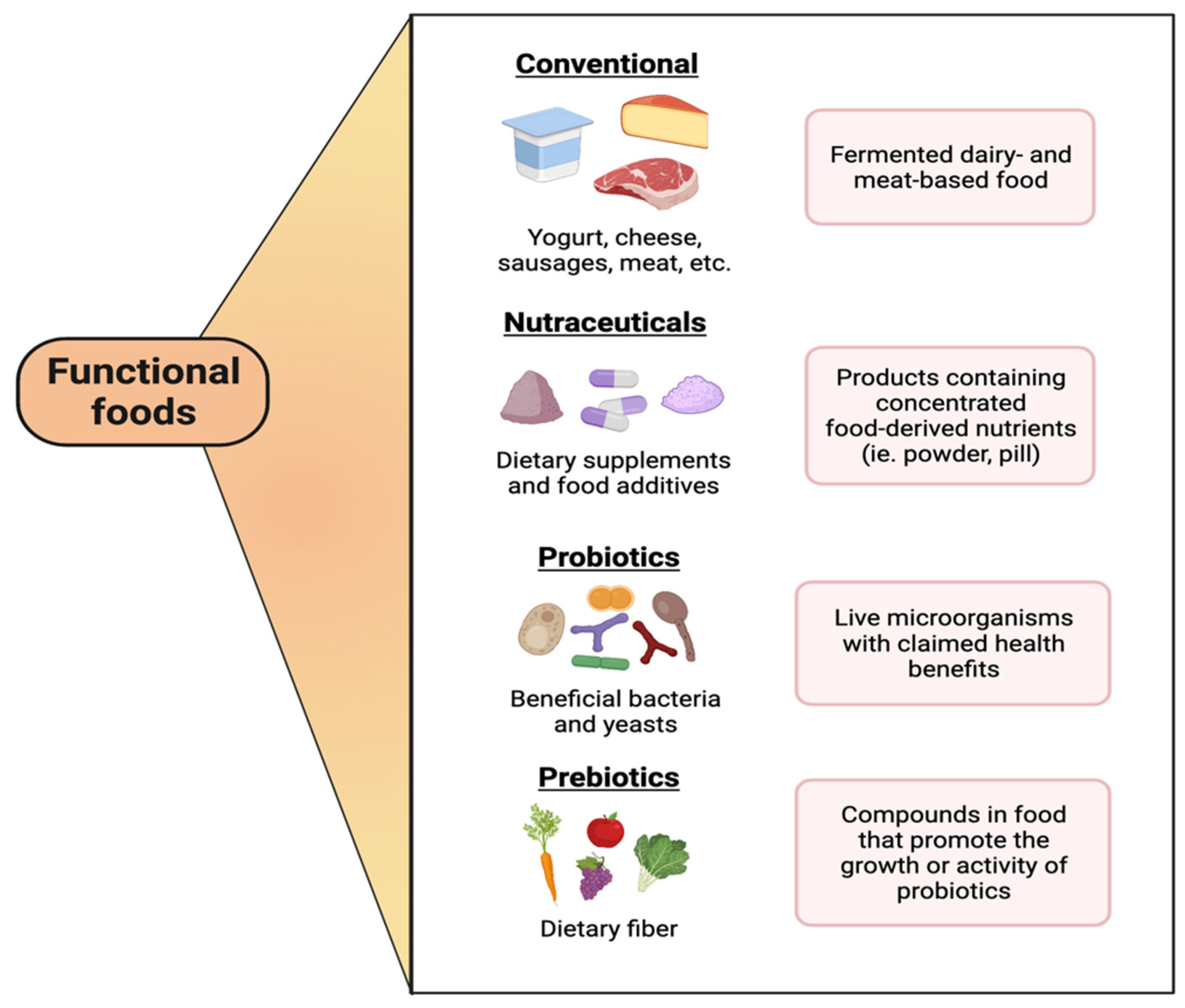 Microorganisms | Free Full-Text | Functional Foods, Nutraceuticals and  Probiotics: A Focus on Human Health