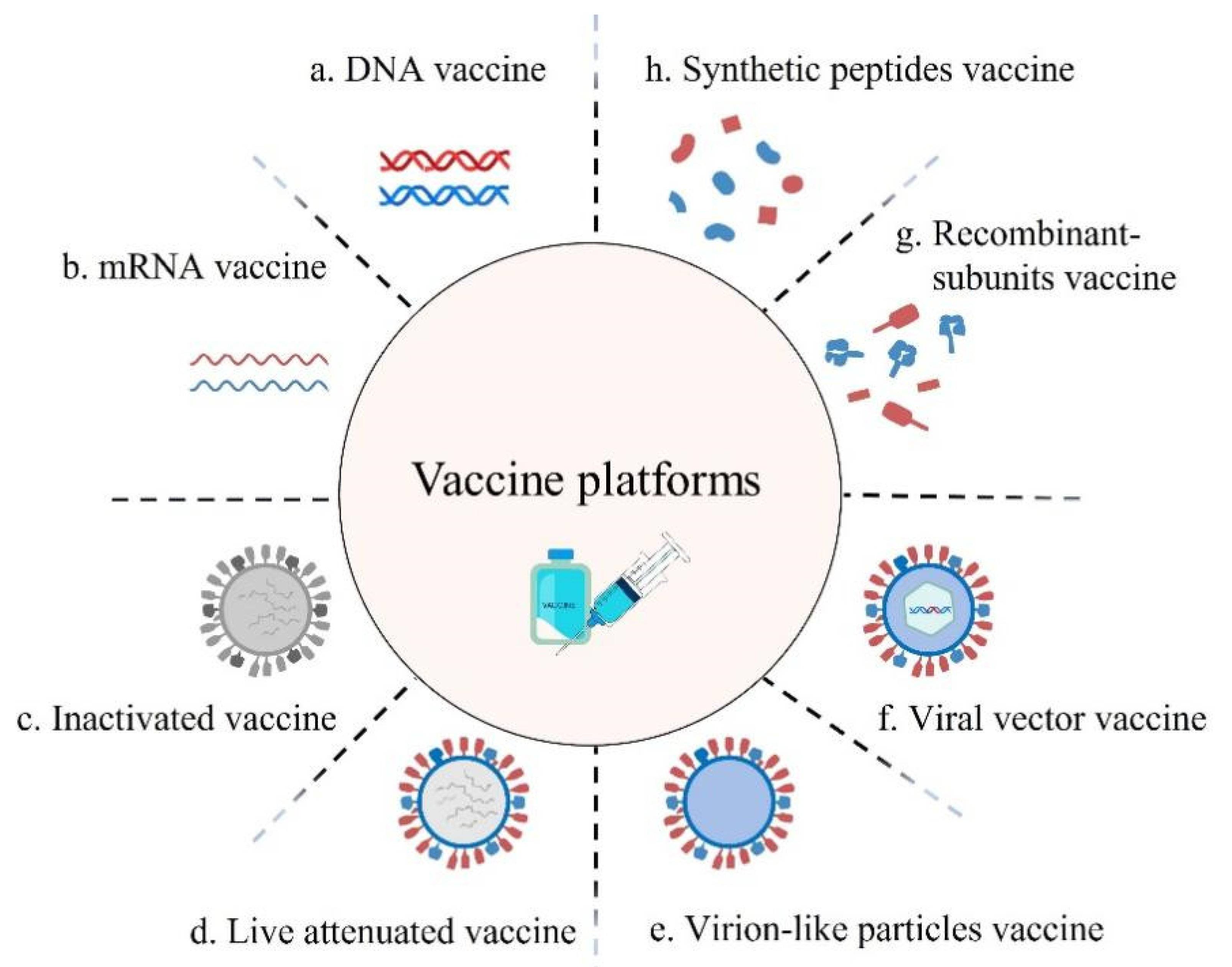 Microorganisms | Free Full-Text | Viral Vector Vaccine Development and
