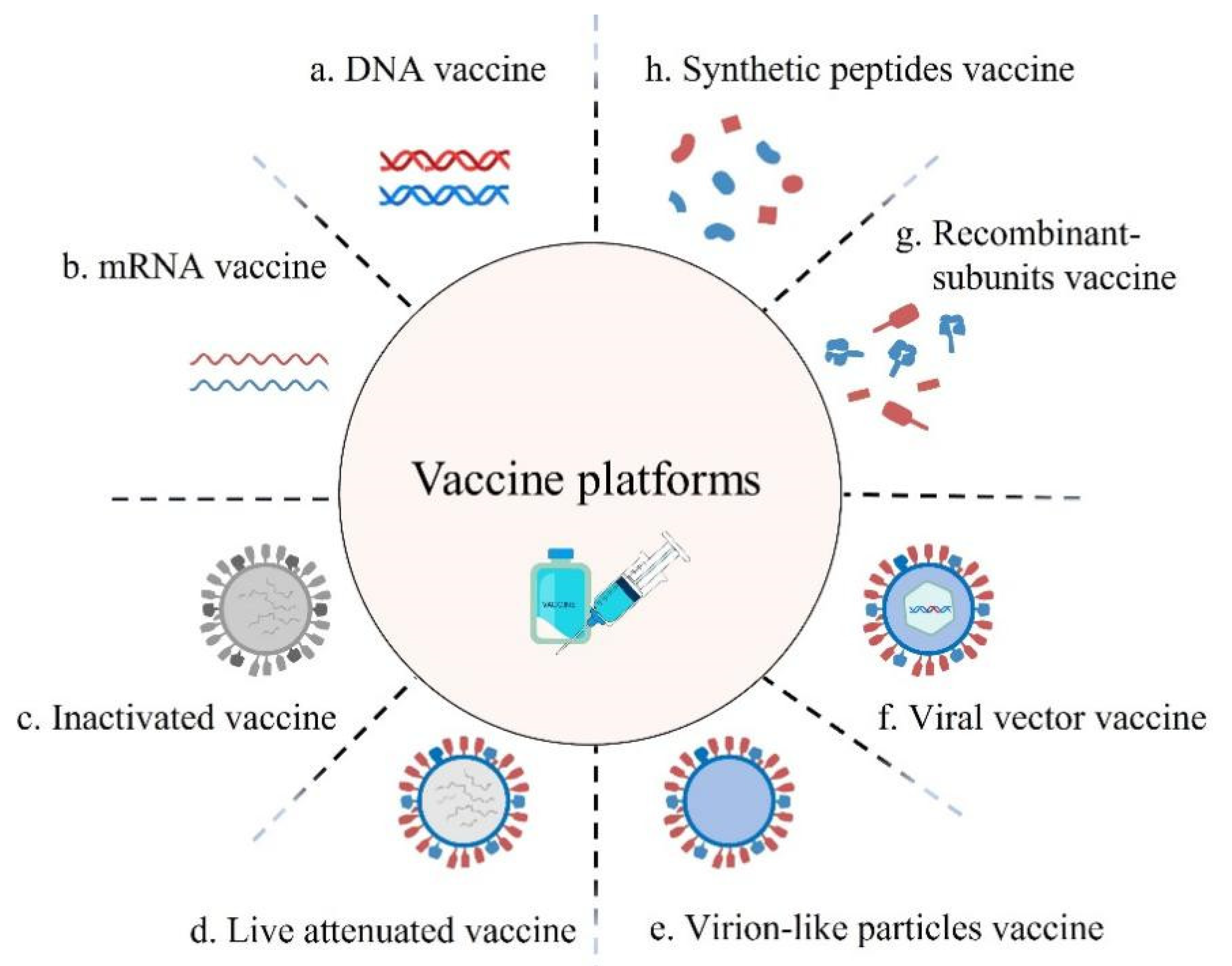 Microorganisms Free Full Text Viral Vector Vaccine Development And ...