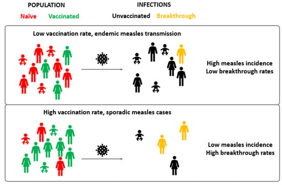 Microorganisms | Free Full-Text | Breakthrough Infections: A Challenge ...