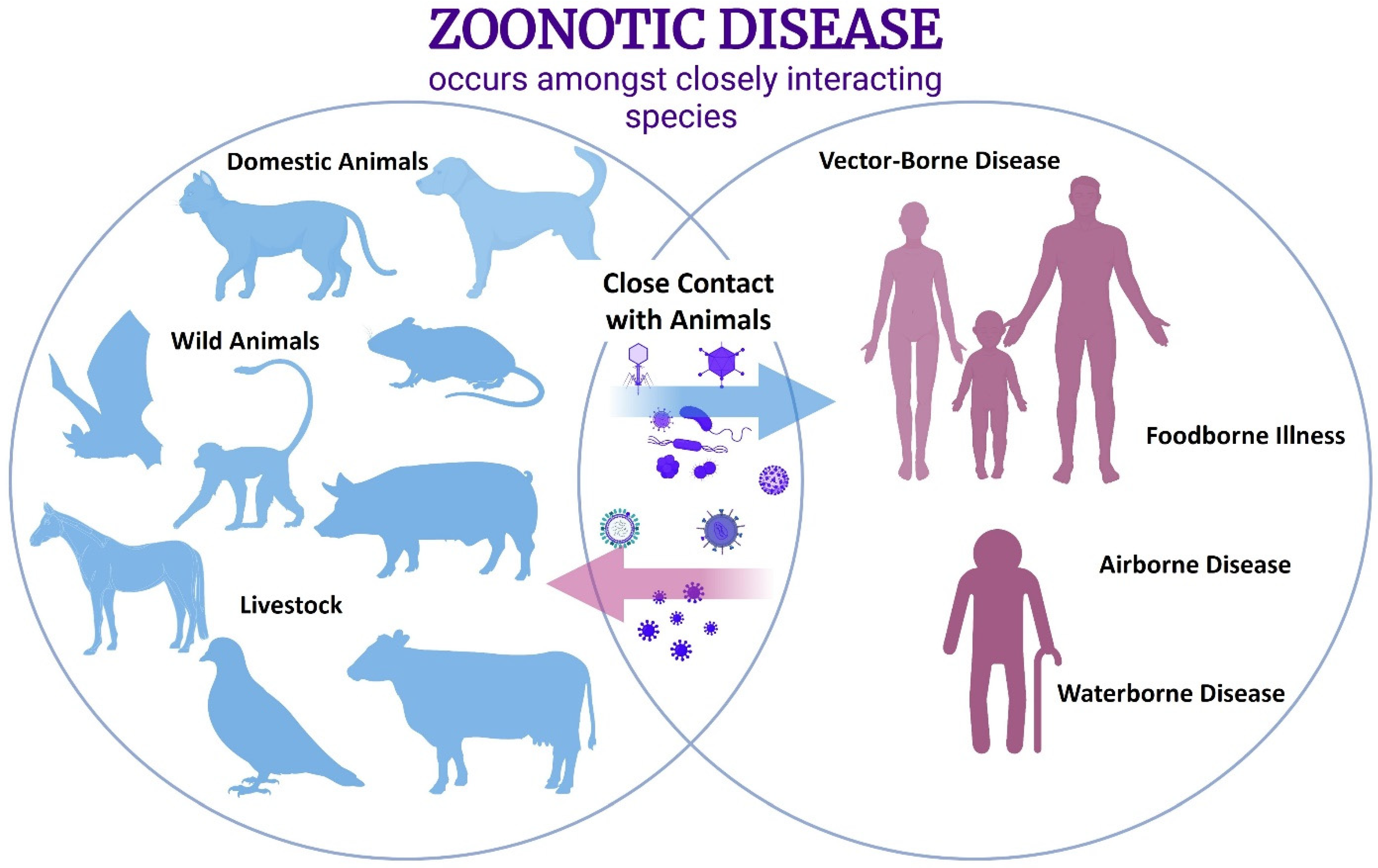 What Are The Types Of Farm Animal Diseases At Madeleine Seitz Blog What Are The Types Of Farm Animal Diseases At Madeleine Seitz Blog