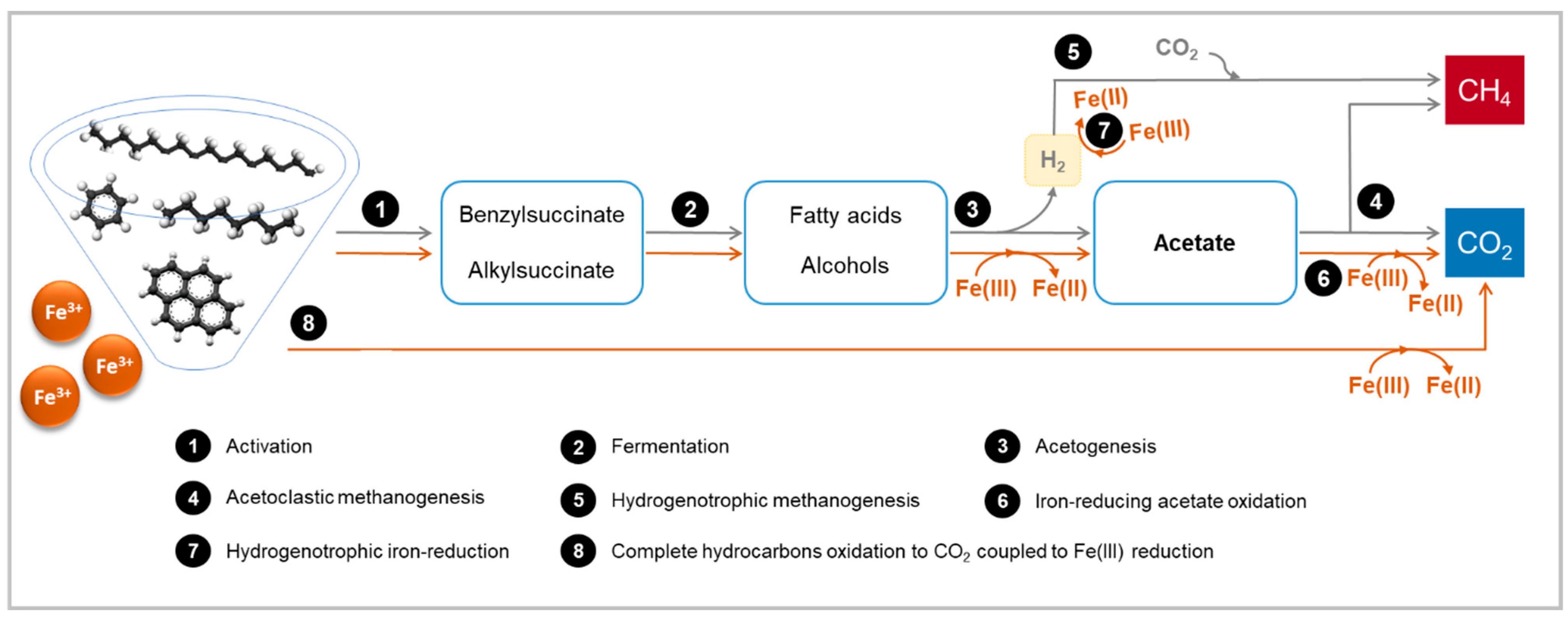 Crystal structure of a key enzyme for anaerobic ethane activation