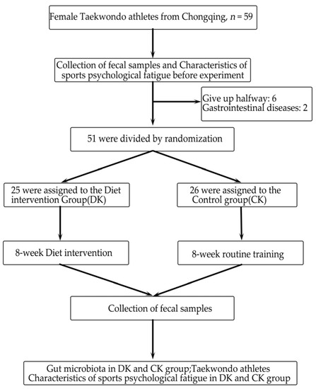 Seney Leyon Xxx Video - Microorganisms | Free Full-Text | Effect of Probiotic Yogurt  Supplementation(Bifidobacterium animalis ssp. lactis BB-12) on Gut  Microbiota of Female Taekwondo Athletes and Its Relationship with  Exercise-Related Psychological Fatigue