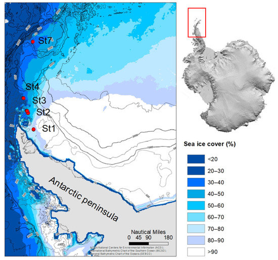 The Impact Of Sea Ice Cover On Microbial Communities In Antarctic Shelf