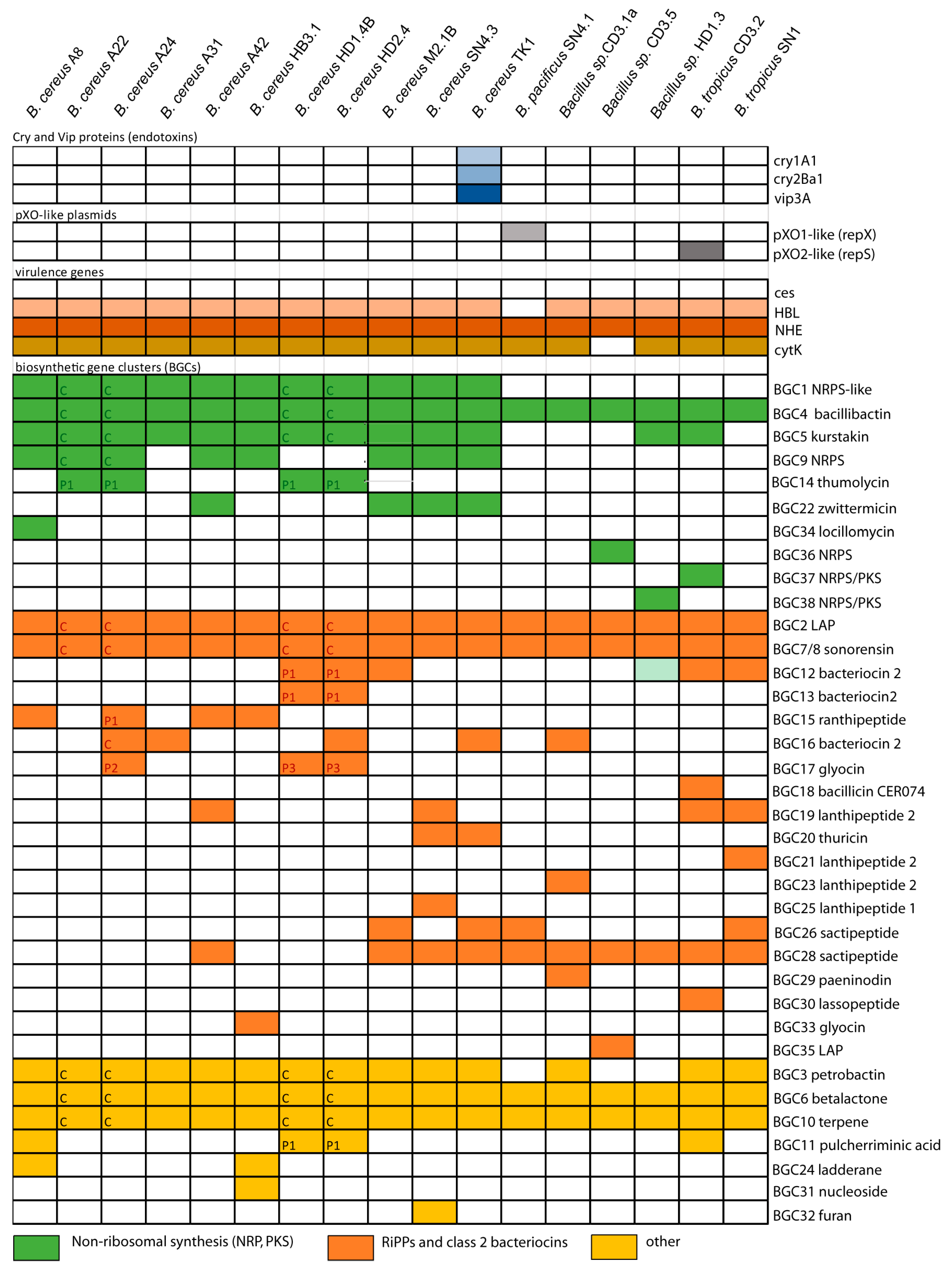 Microorganisms | Free Full-Text | Plant-Associated Representatives of ...