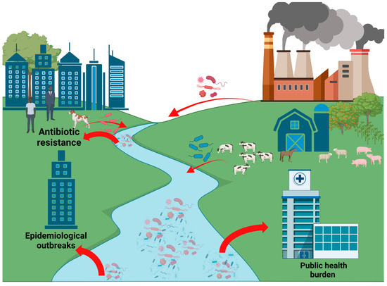 Nanopore Sequencing Assessment of Bacterial Pathogens and Associated ...