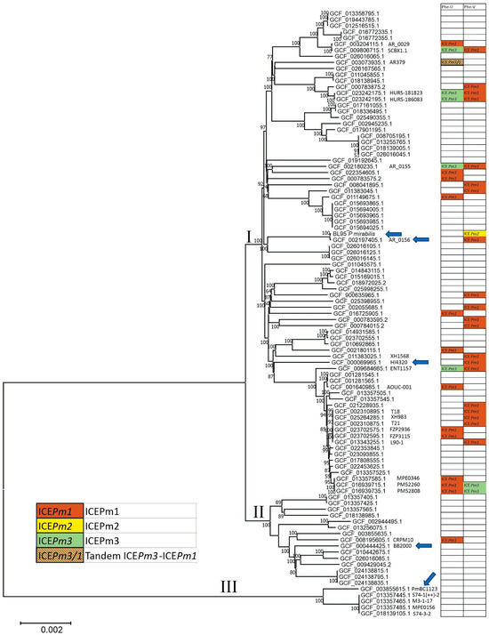 Microorganisms | Free Full-Text | Pangenome Analysis Reveals Novel ...