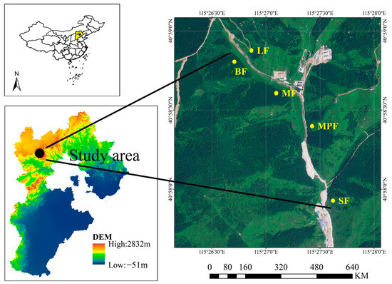 Diversity of Microbial Functional Genes Promotes Soil Nitrogen ...