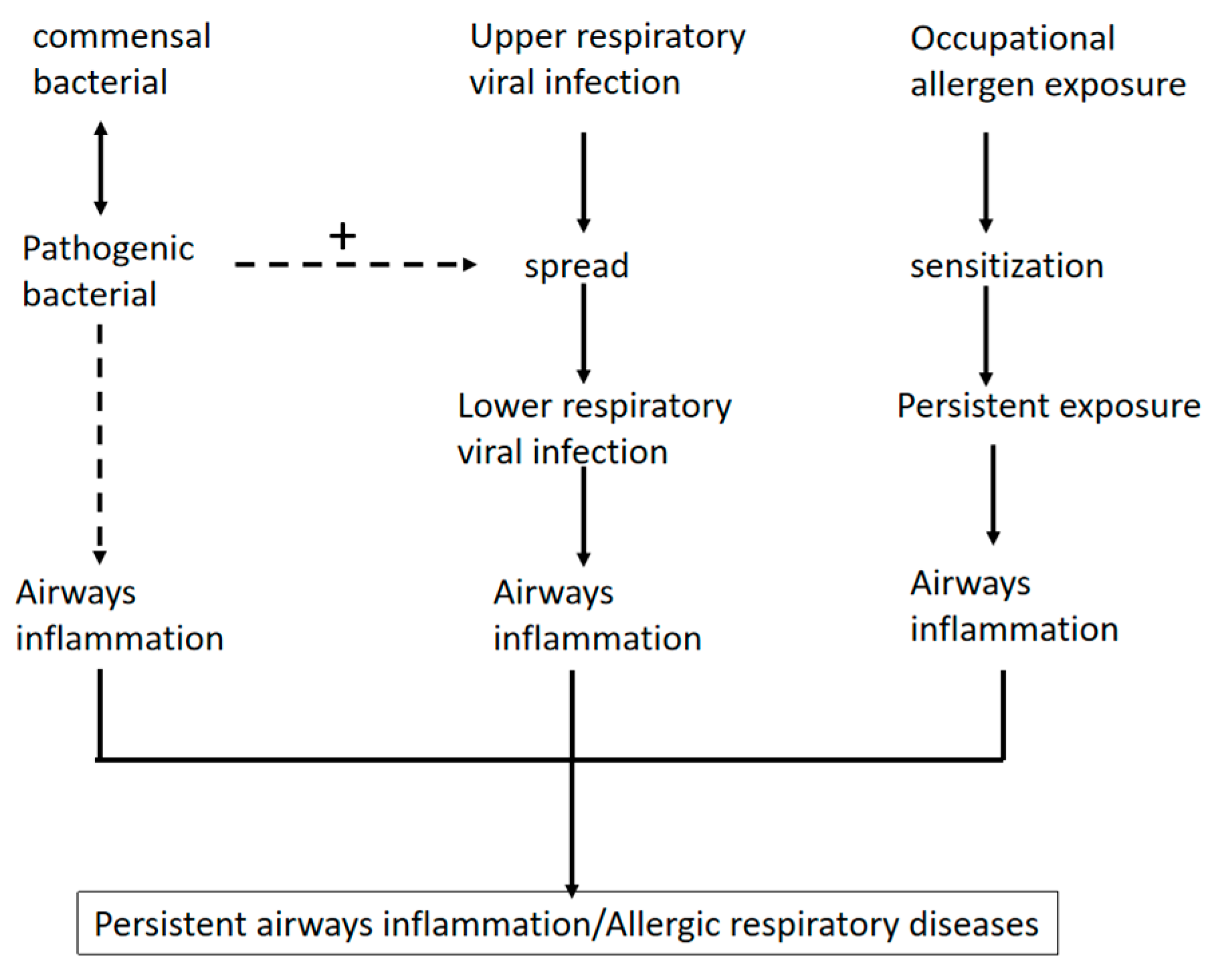 Respiratory Flora Intervention: A New Strategy for the Prevention and ...