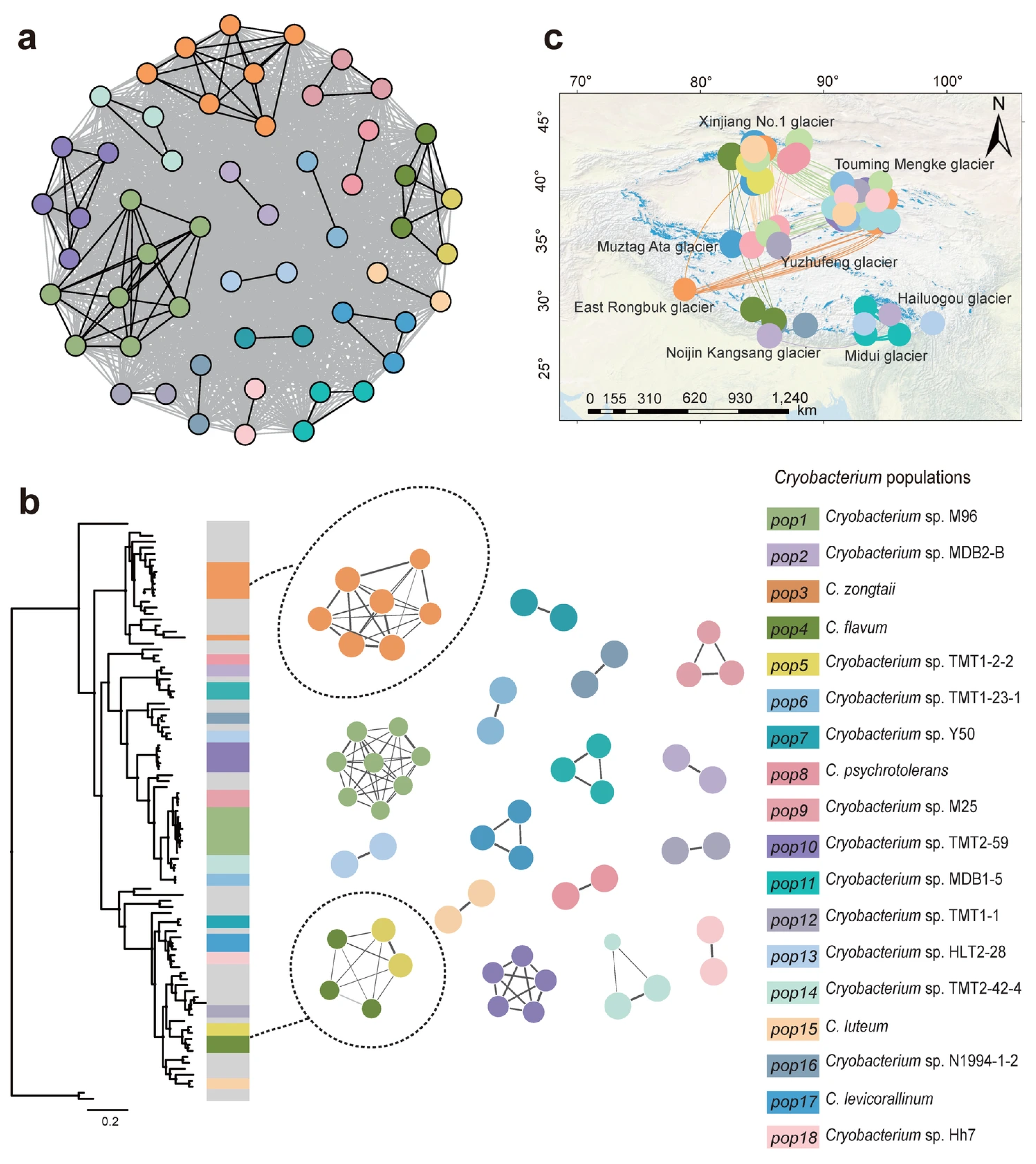 Population Ecology of Glacier Bacteria from the View of Gene Flow in ...