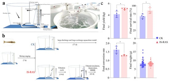 Wanamina In Situ Recirculating Aquaculture System Improves the Growth ...