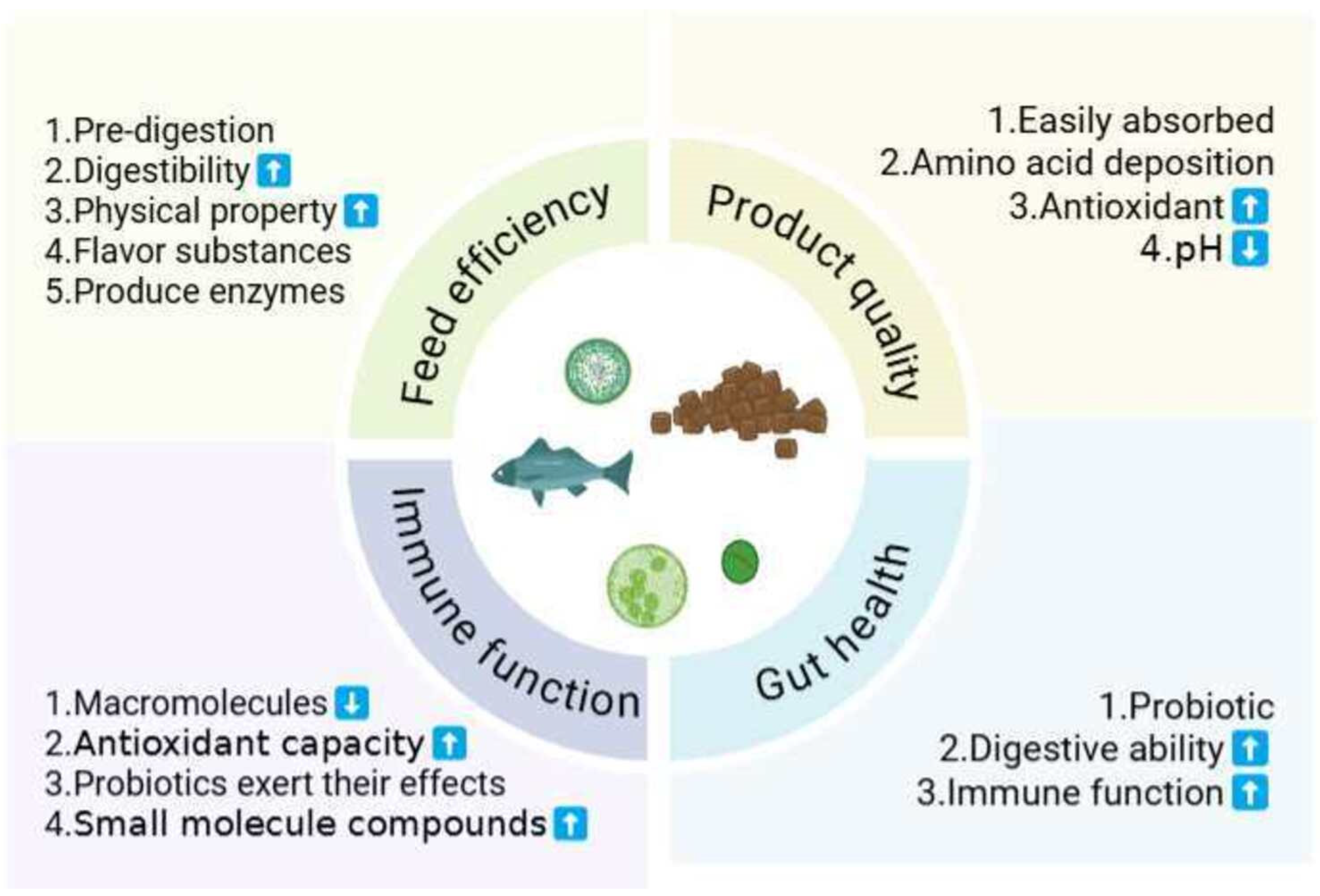 Fermentation Technology in Aquafeeds: A Review