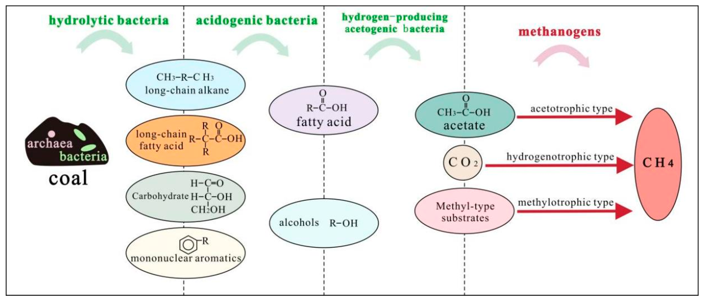 Microbial Metabolic Pathways for Synergistic Biomethane Augmentation ...