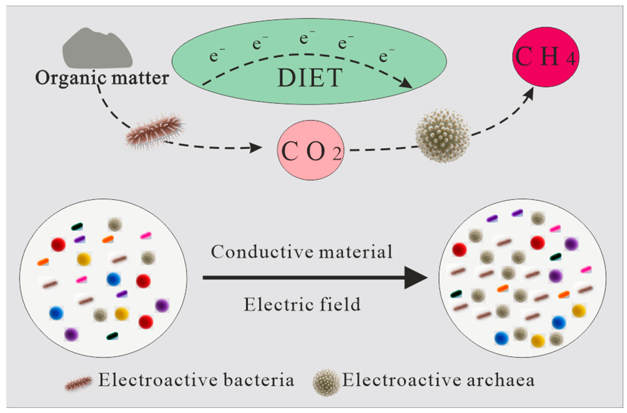Microbial Metabolic Pathways for Synergistic Biomethane Augmentation ...