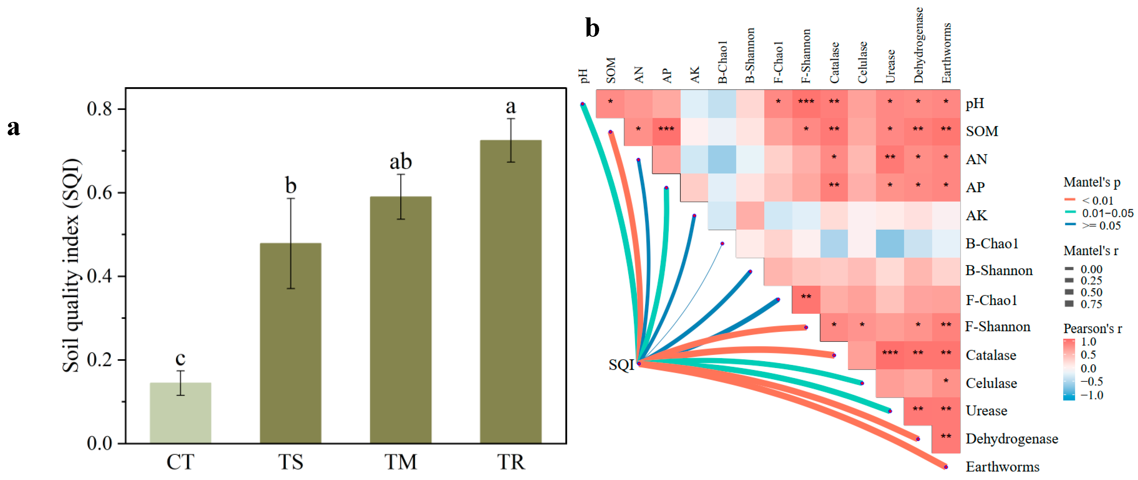 Comparative Assessment of Diverse Green Manure Species for Enhancing ...