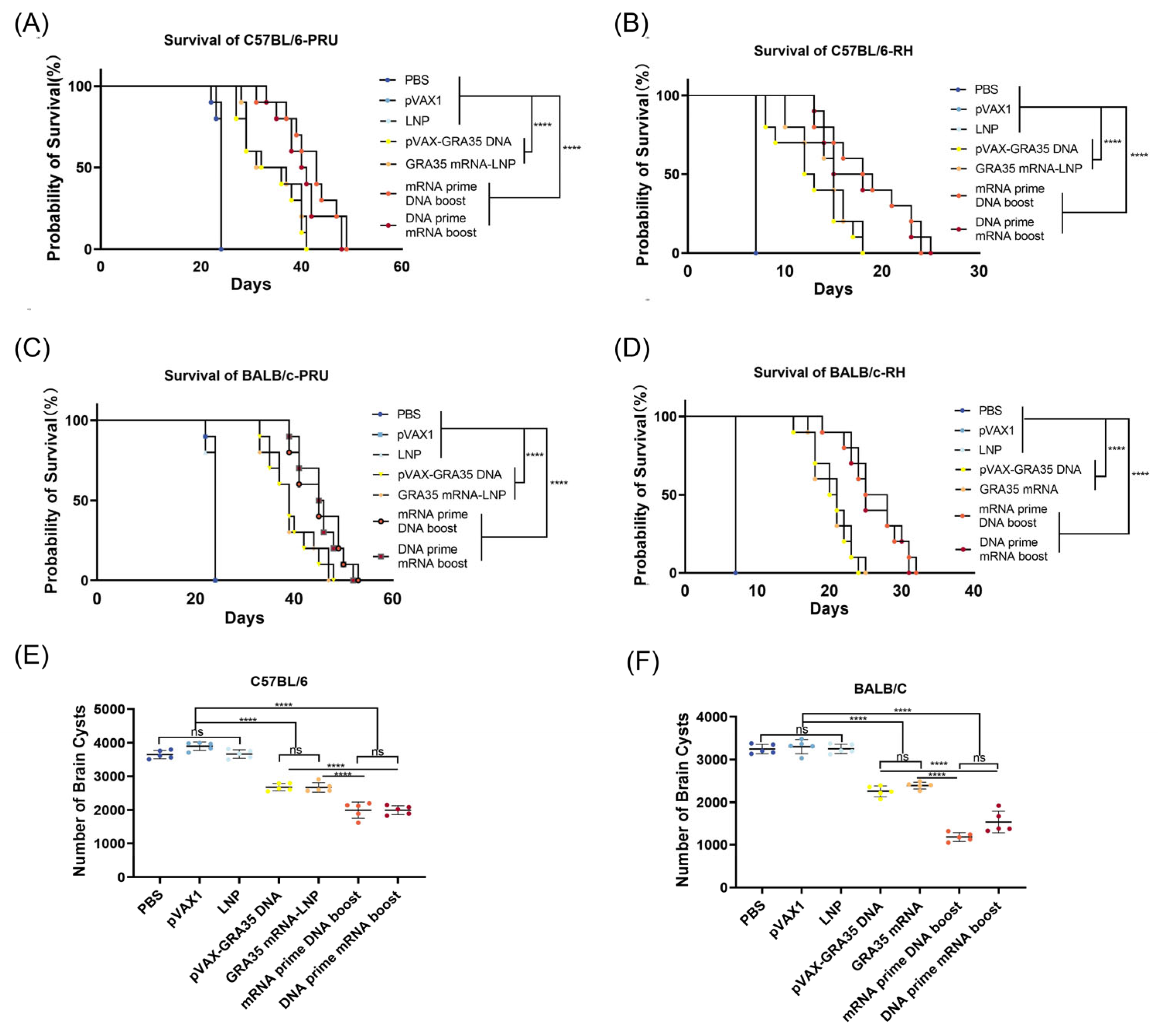 Heterologous Prime–Boost Vaccination with GRA35-Encoding DNA and mRNA ...