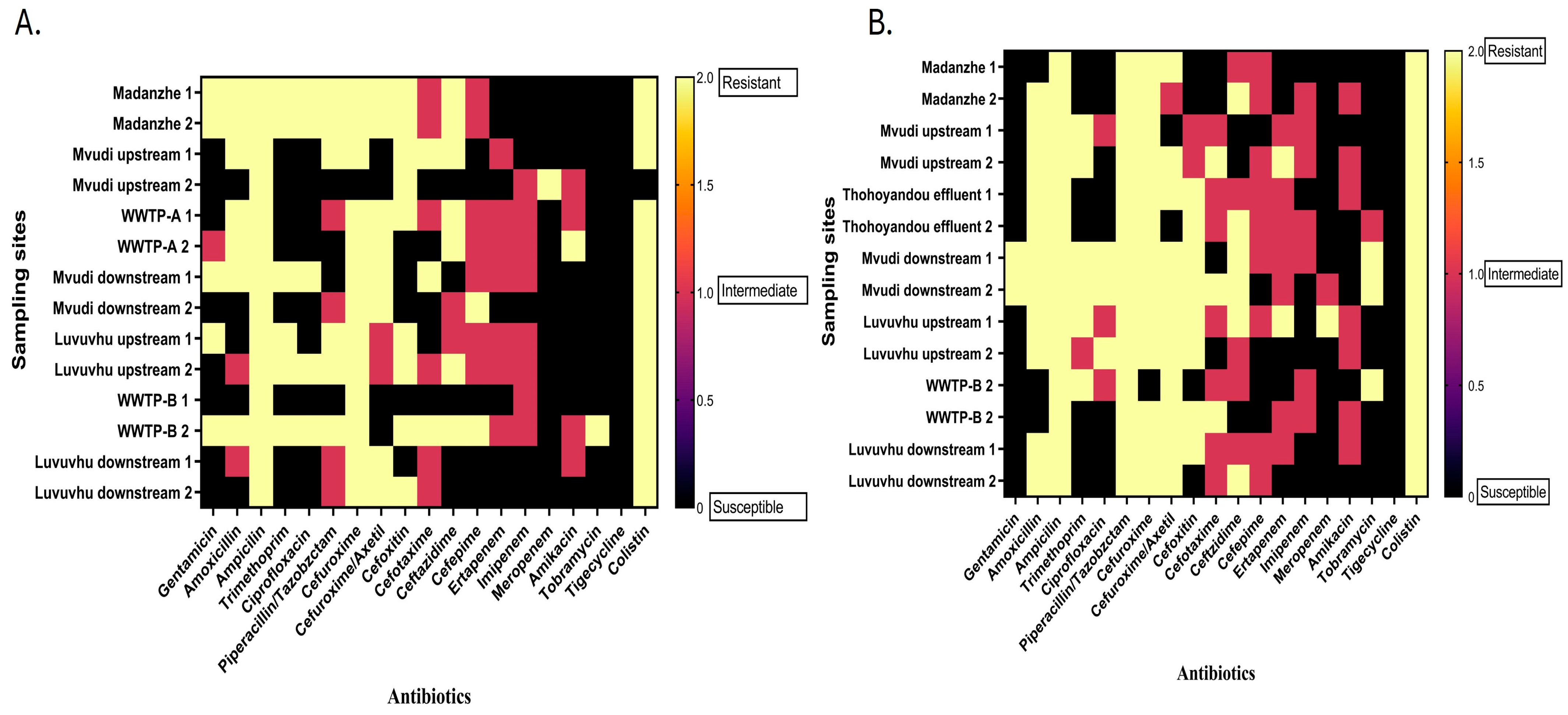 Occurrence of Escherichia coli Pathotypes and Antimicrobial Resistance ...