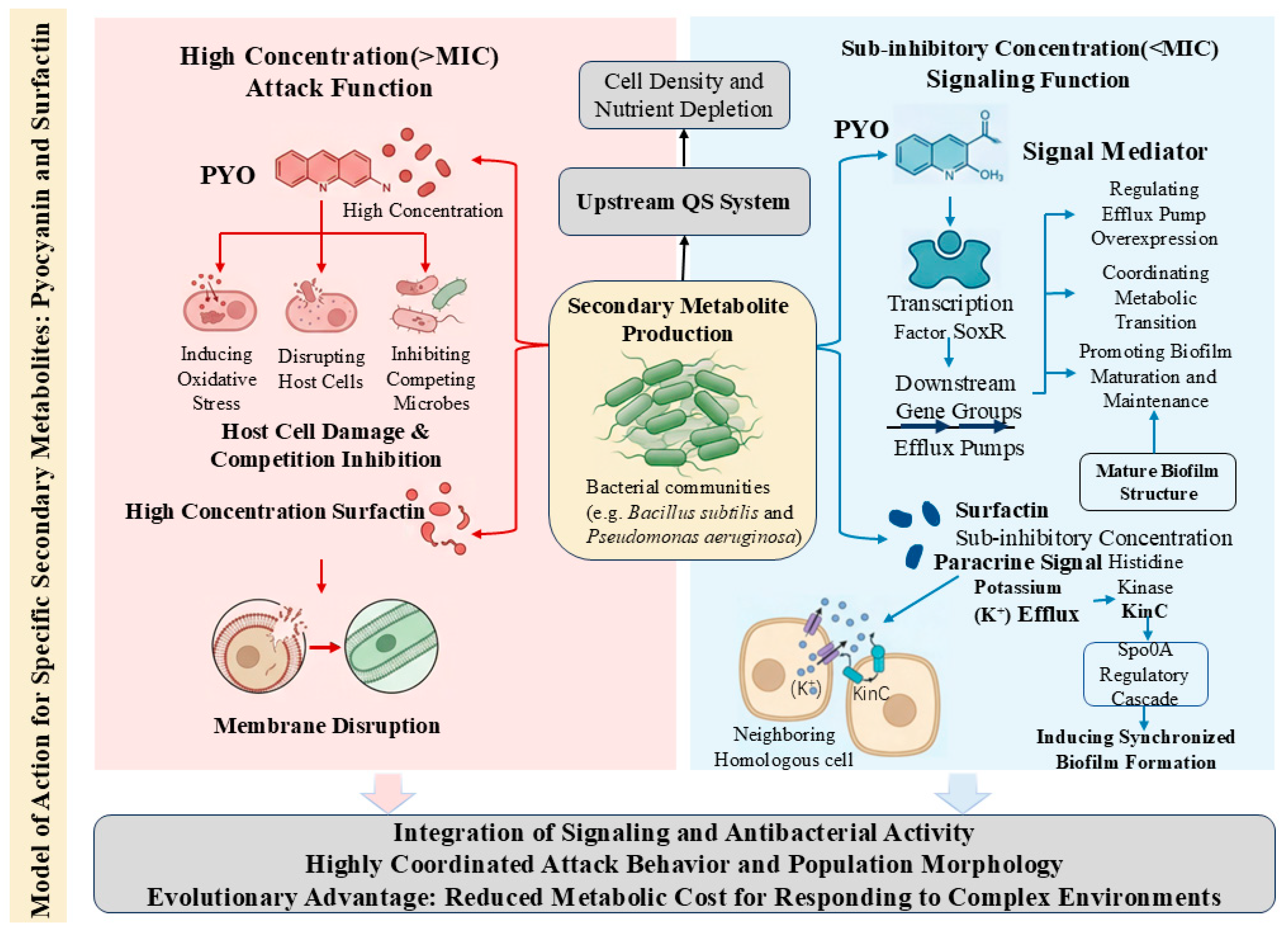 Microbial Signalling Rethinking Microbial Chemical Ecology: Secondary Metabolites as ...