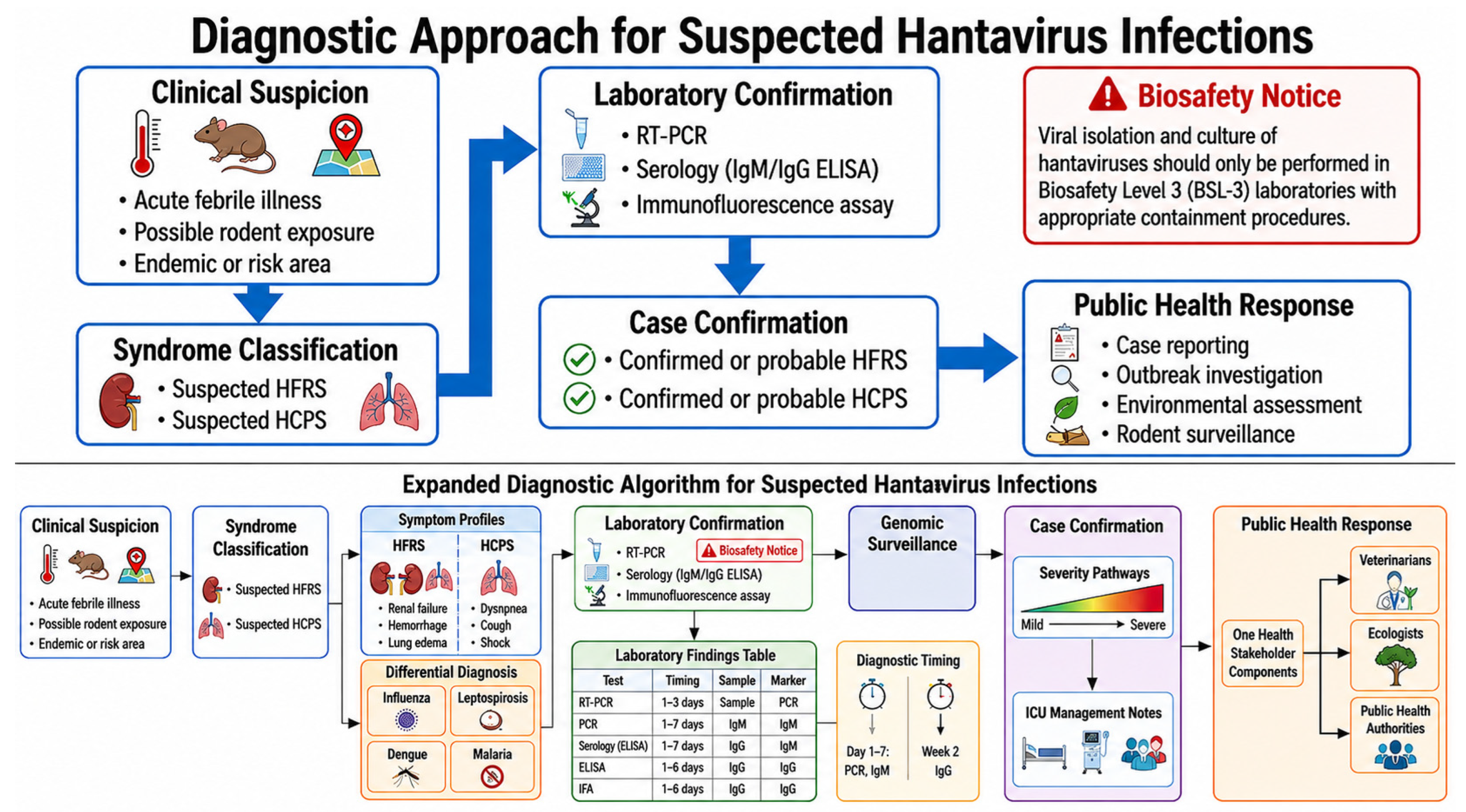 Hantavirus Emergence in a Changing World: Virology, Pathogenesis ...