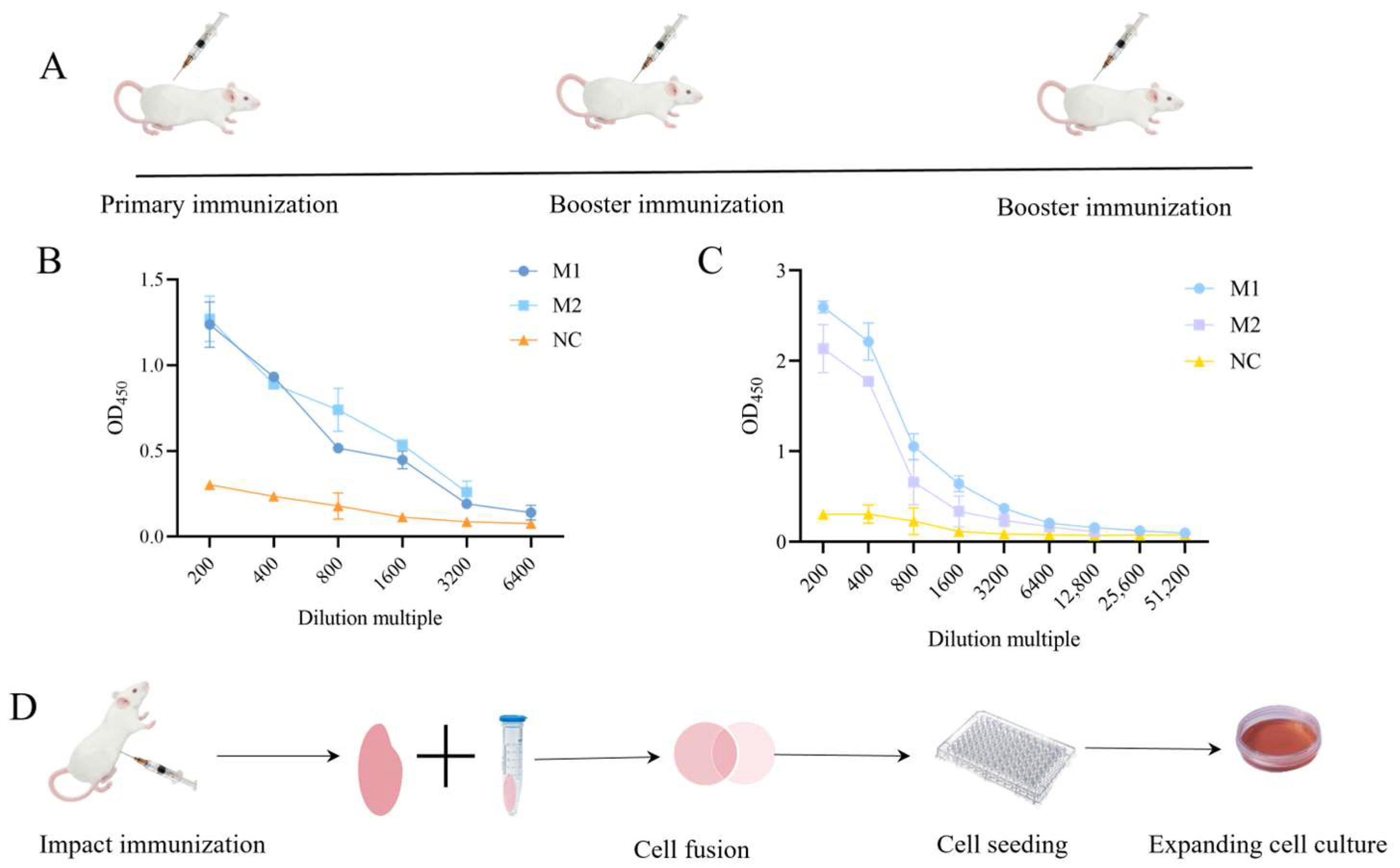 Identification and Characterization of a Novel Linear B-Cell Epitope ...