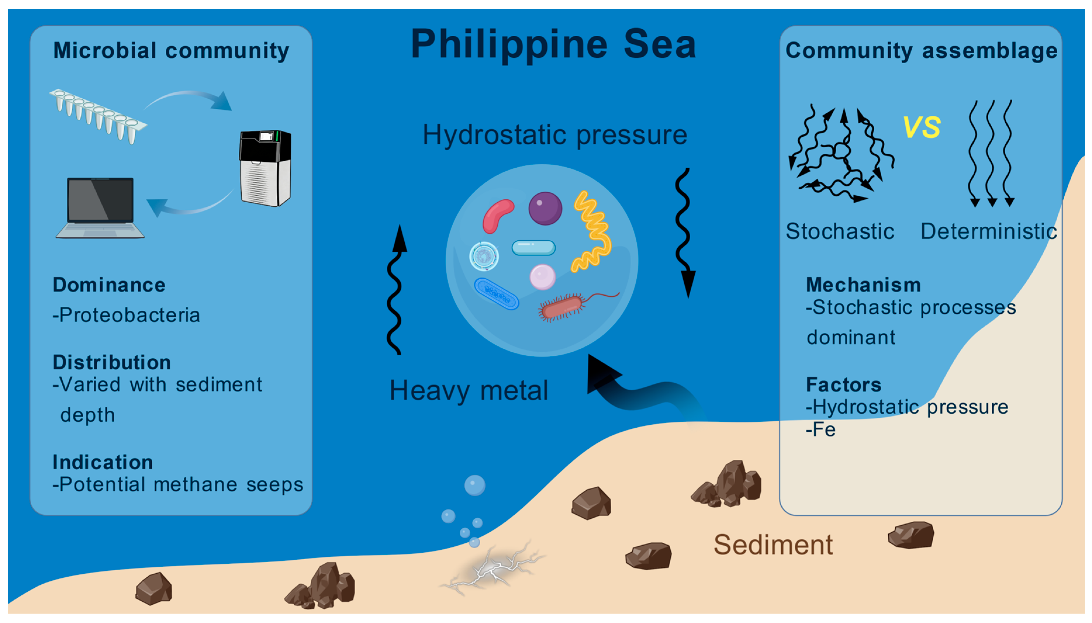 Bacterial Diversity and Community Assembly in Deep-Sea Sediments ...