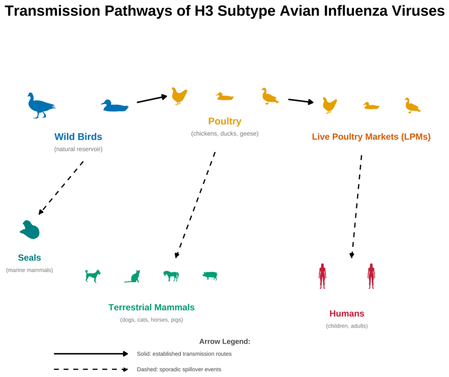 Cross Evolution H3 Subtype Avian Influenza Virus: Ecology, Cross-Species Evolution, and ...