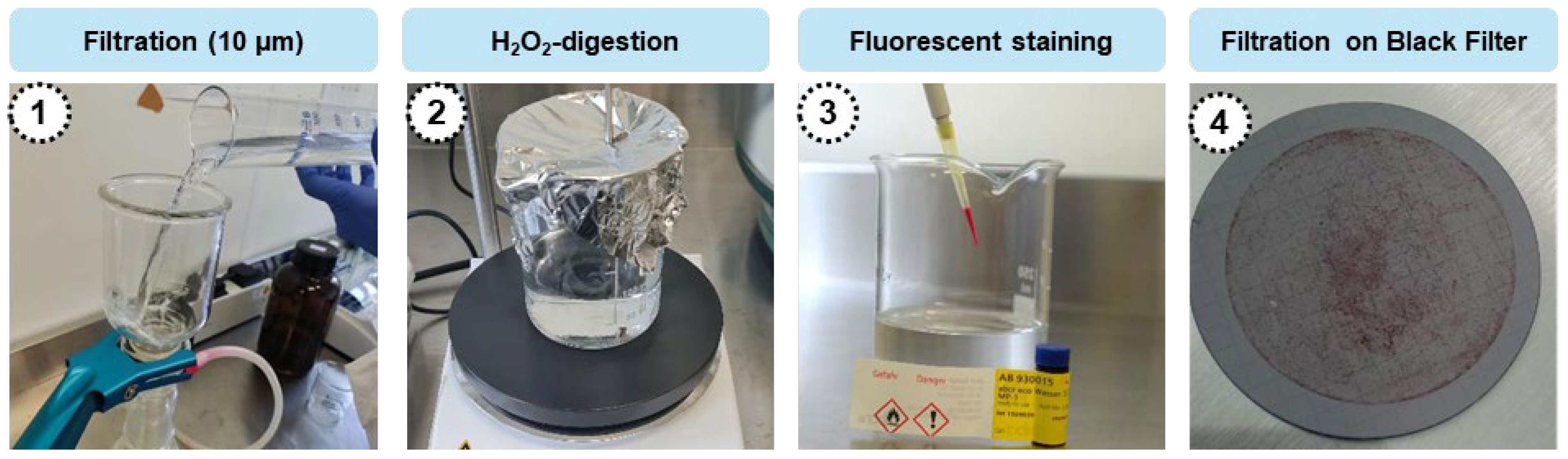 Microplastics | Free Full-Text | Long-Term Monitoring of Microplastics ...