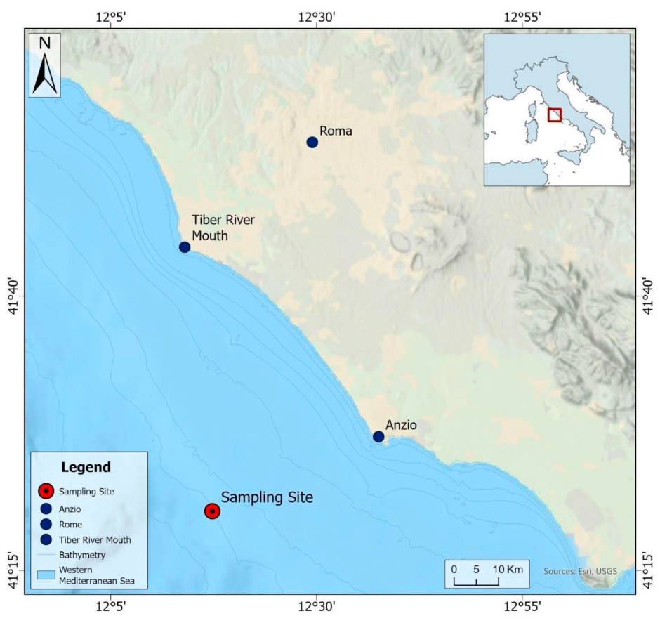 Microplastics Fish Microplastic Ingestion in Three Deep-Sea Fish Species: First Ecological ...
